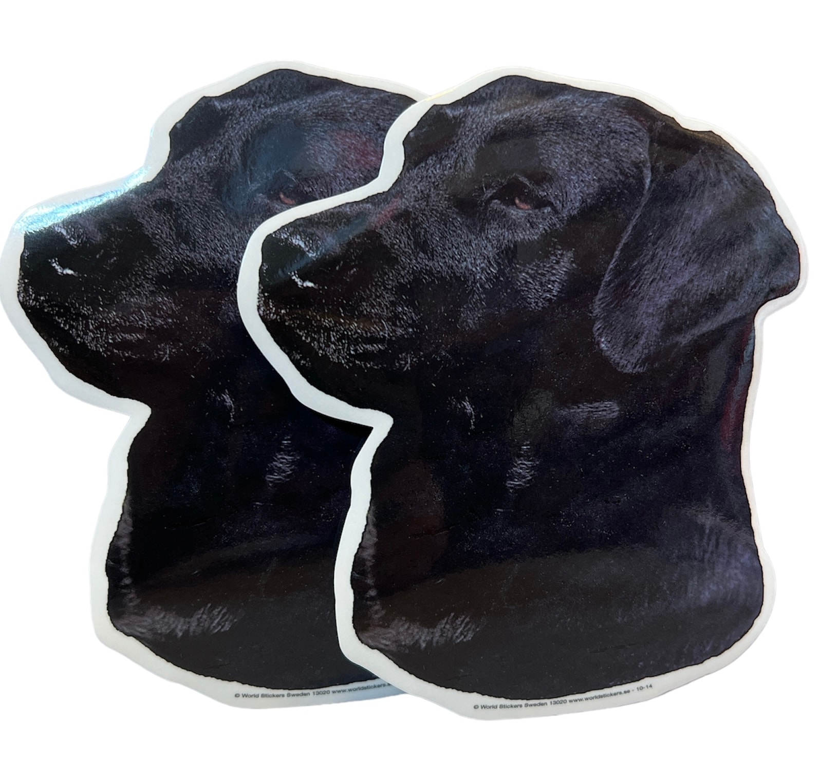 Dekal Hund medium 2-pack - Labrador Svart huvud