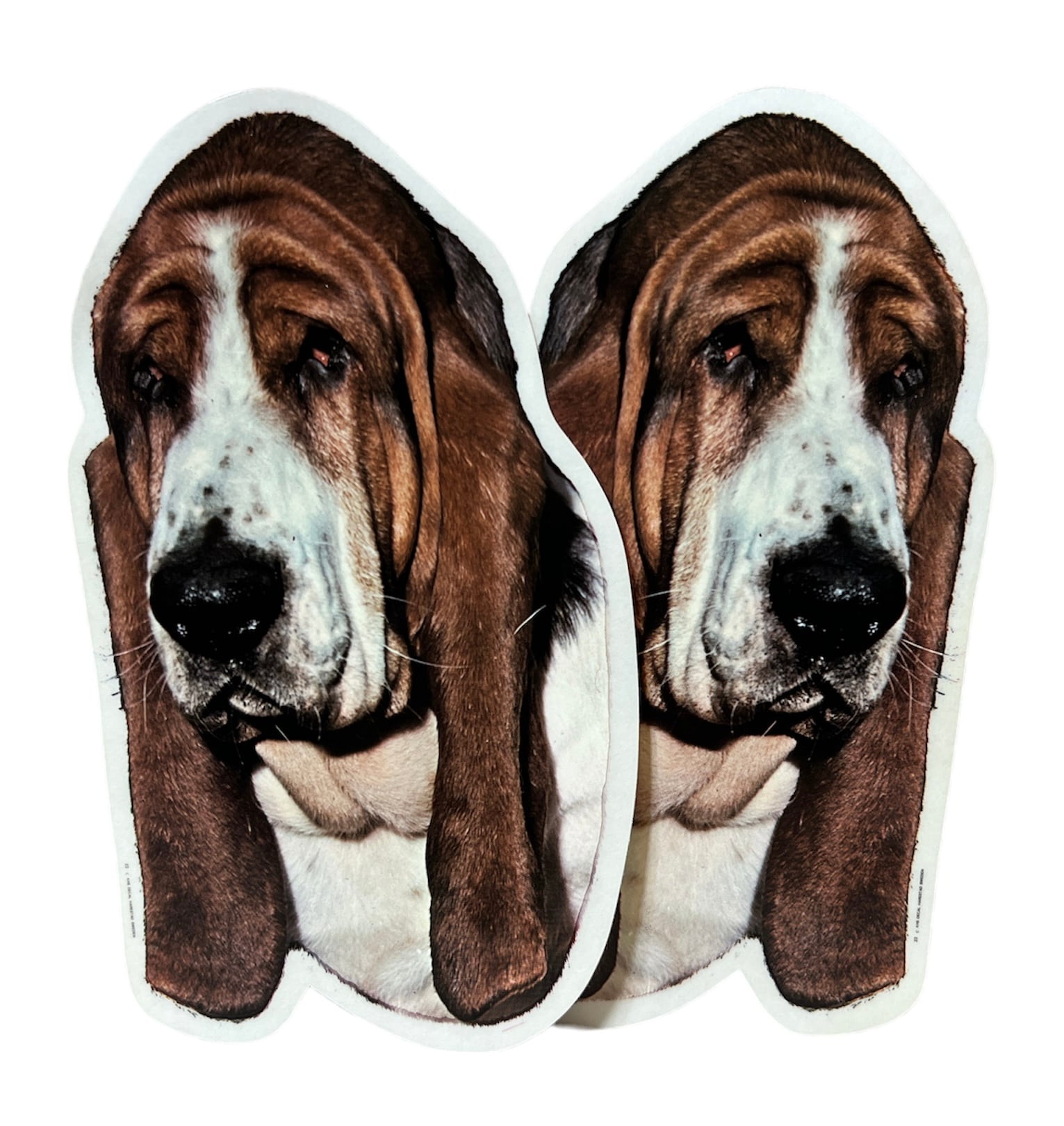 Dekal Hund medium 2-pack - Basset huvud