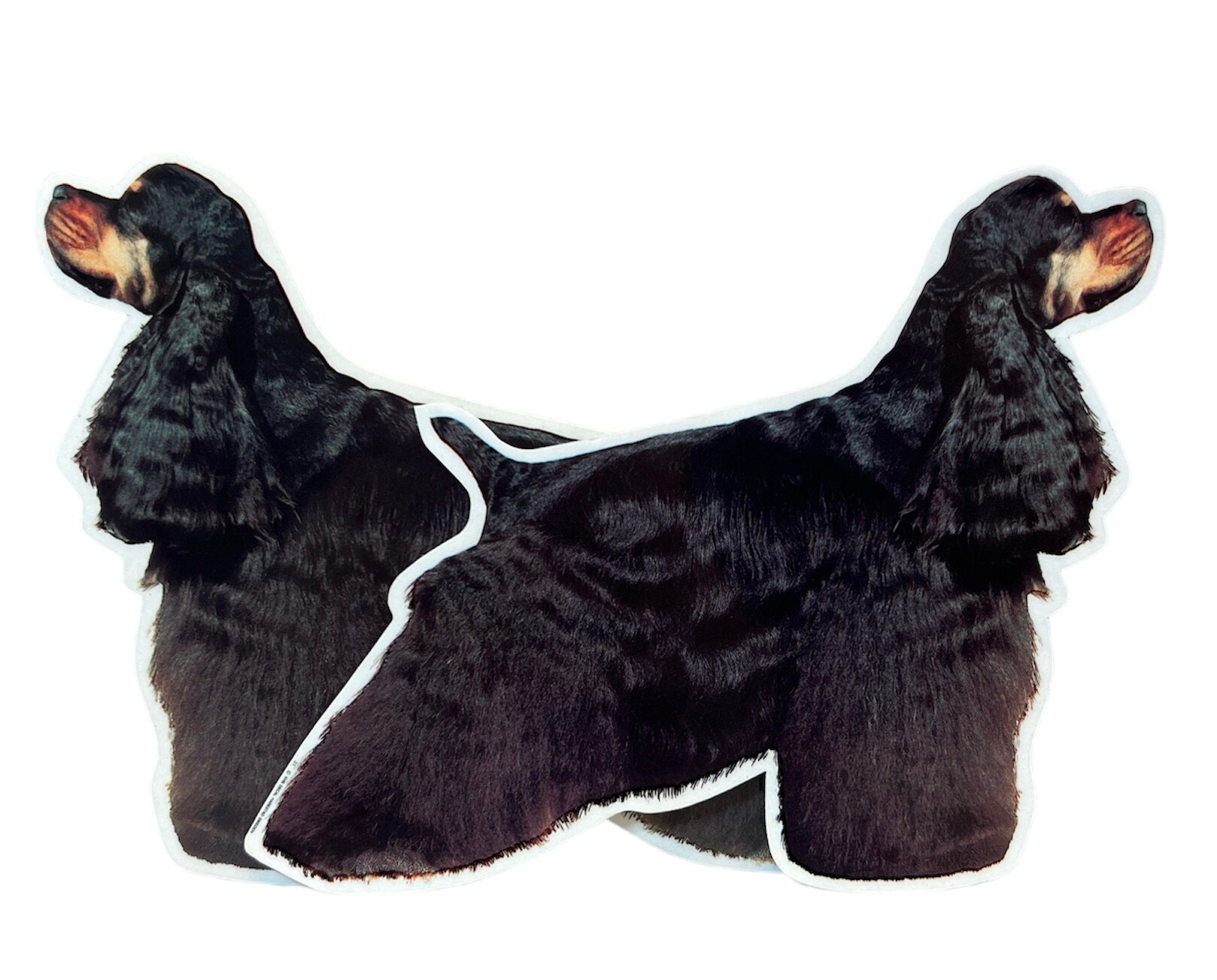 Dekal Hund medium 2-pack - Amerikansk Cockerspaniel Black/Tan helkropp