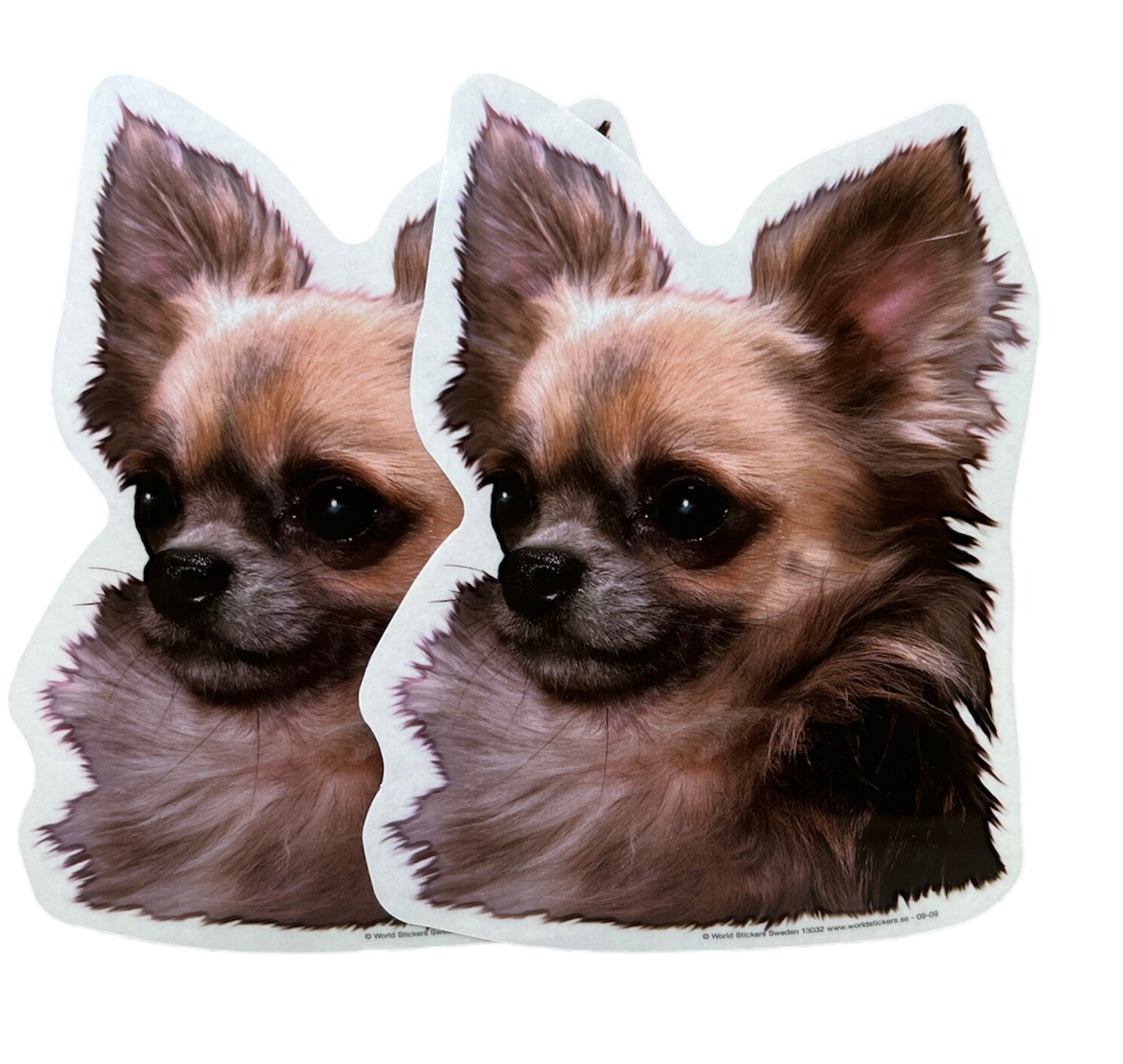 Dekal Hund medium 2-pack - Chihuahua Långhårig huvud 1