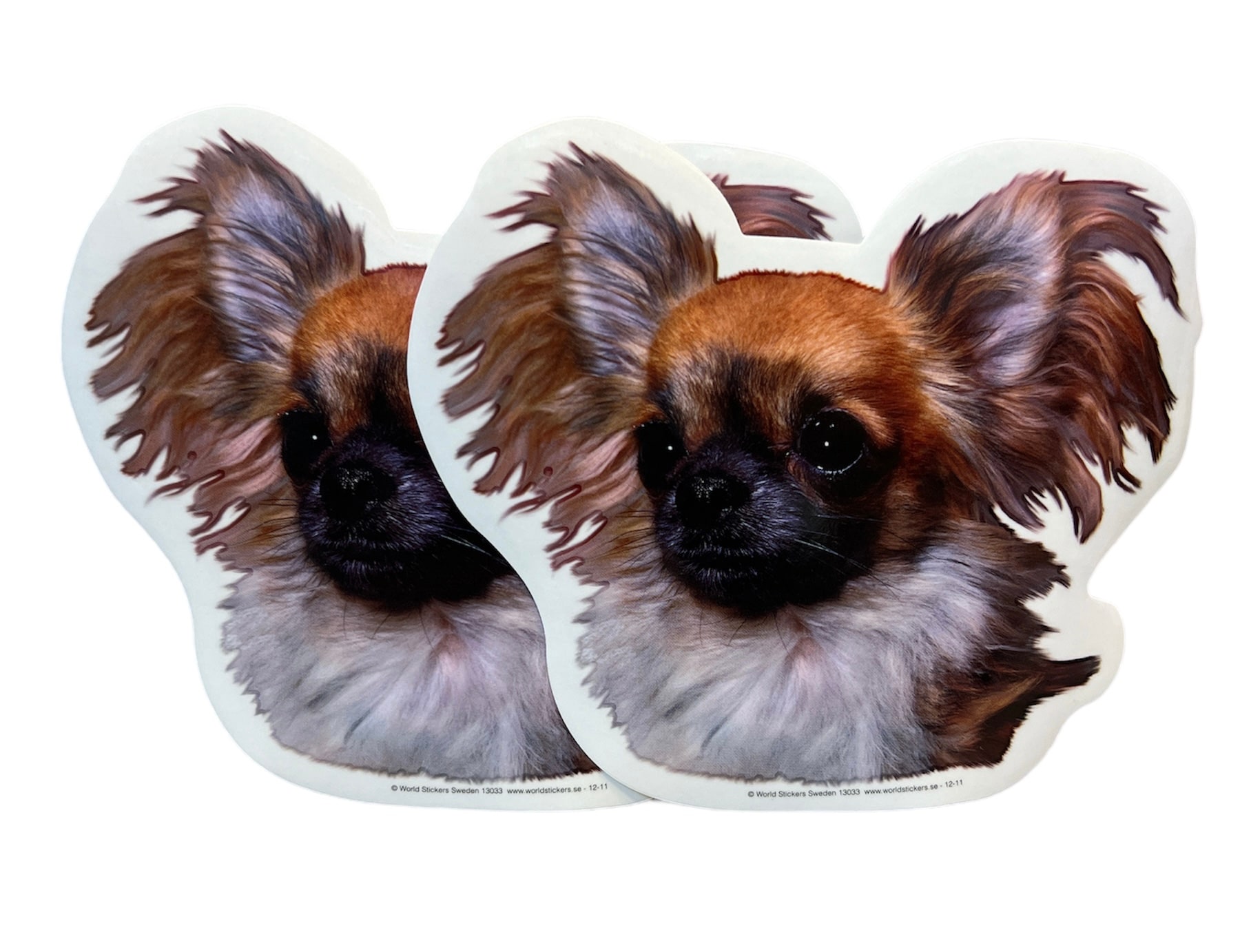 Dekal Hund medium 2-pack - Chihuahua Långhårig huvud 2
