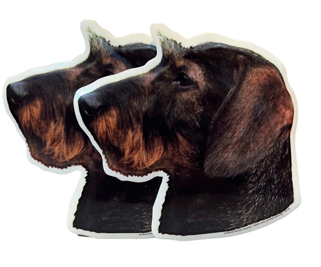 Dekal Hund medium 2-pack - Tax strävhårig huvud