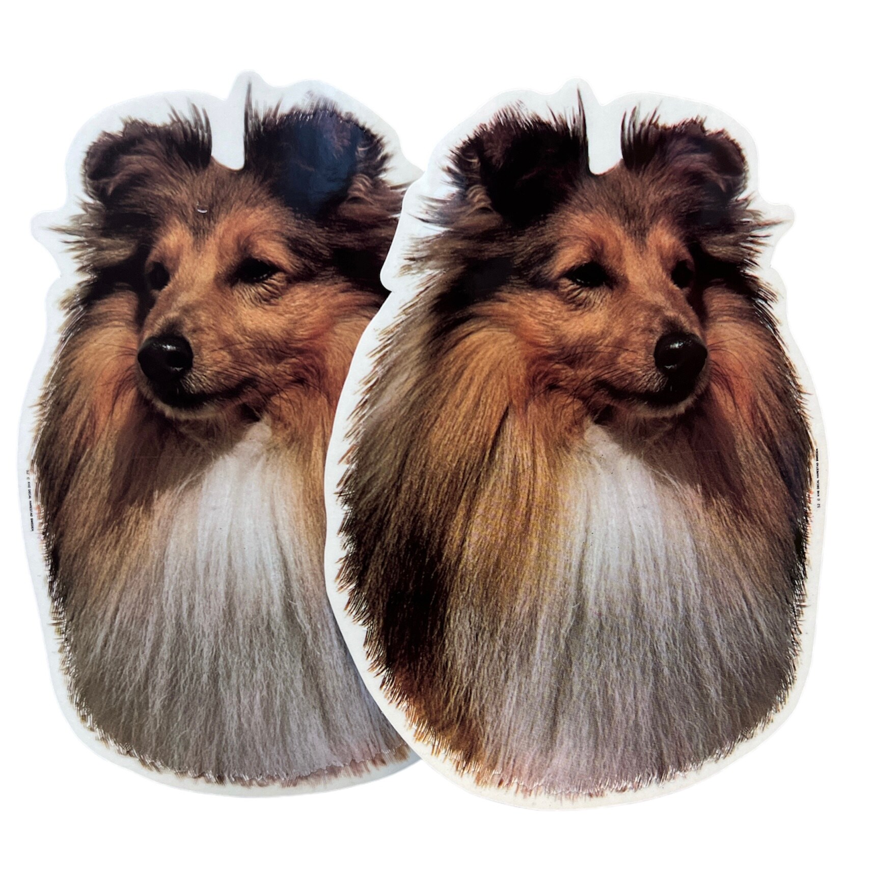 Dekal Hund medium 2-pack - Shetland Sheepdog huvud
