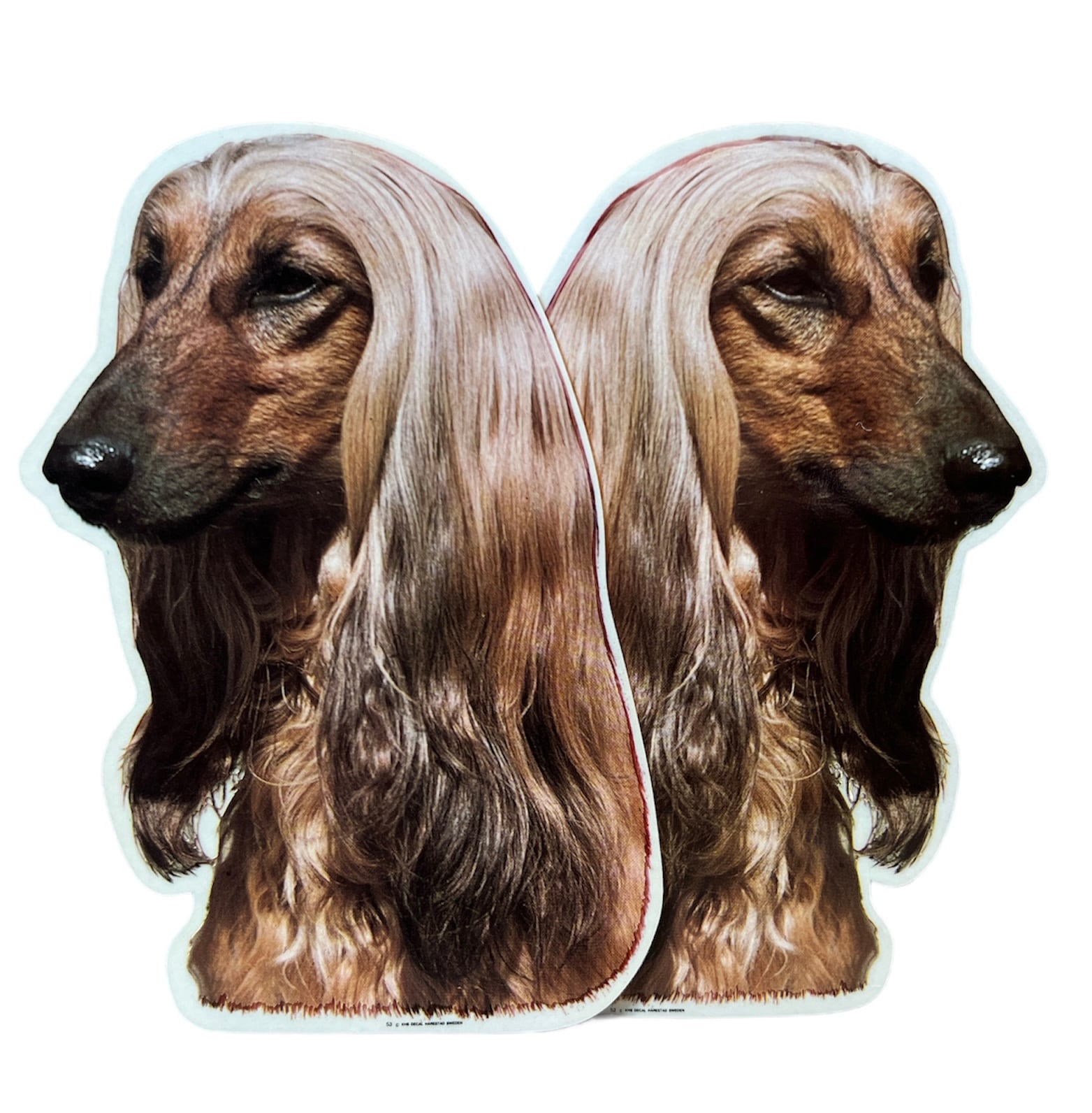 Dekal Hund medium 2-pack - Afghanhund huvud