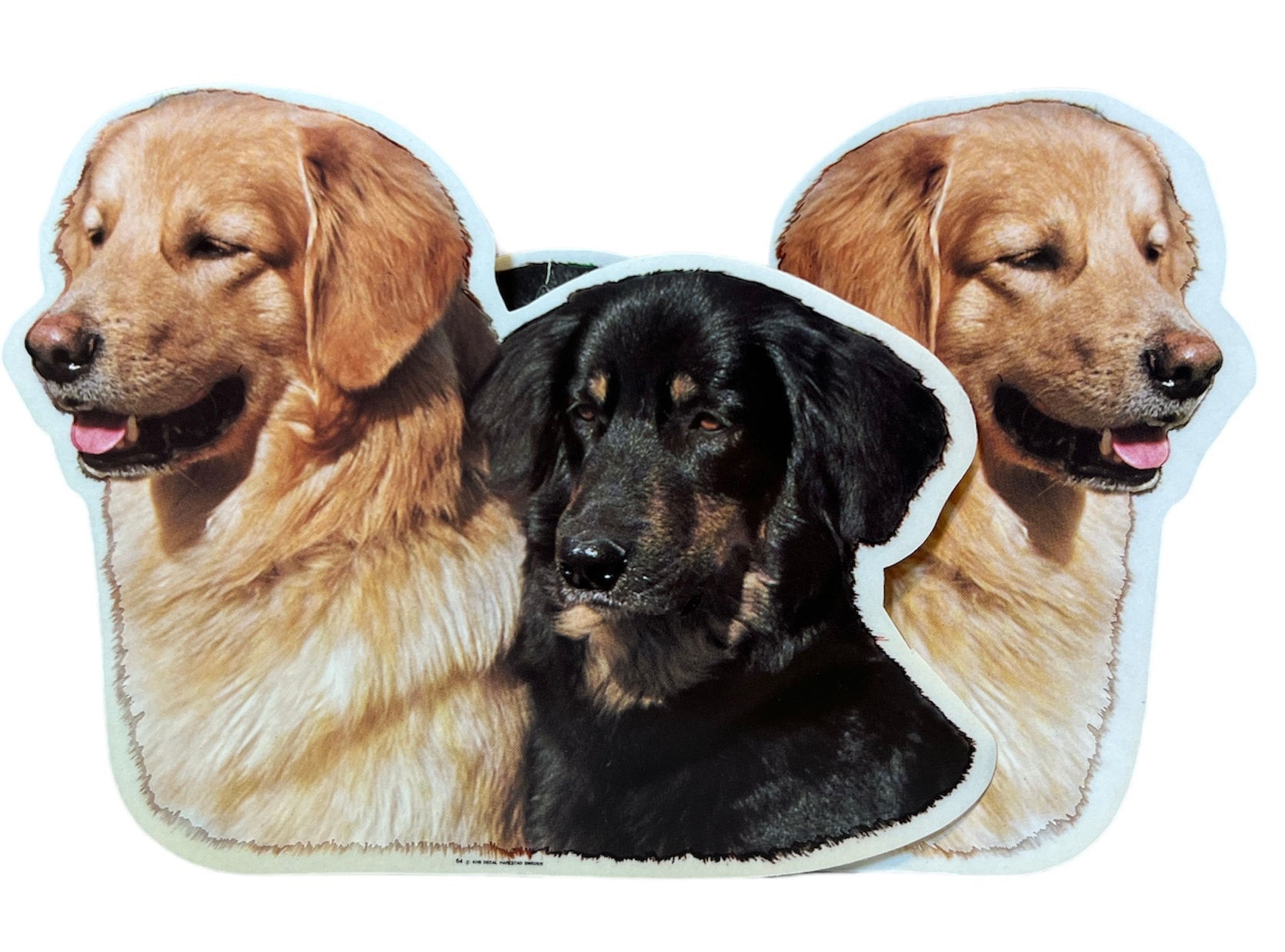 Dekal Hund medium 2-pack - Hovawart par