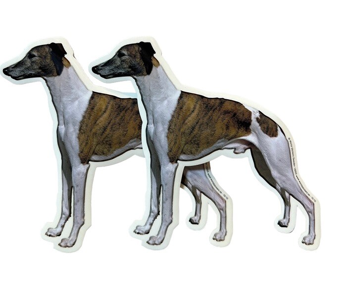 Dekal Hund medium 2-pack - Whippet helkropp