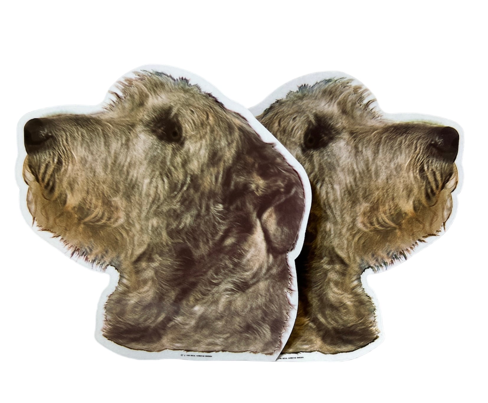Dekal Hund medium 2-pack - Irländsk Varghund Grå huvud