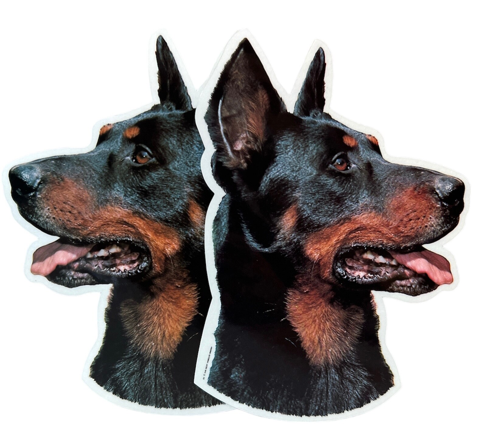 Dekal Hund medium 2-pack - Beauceron huvud