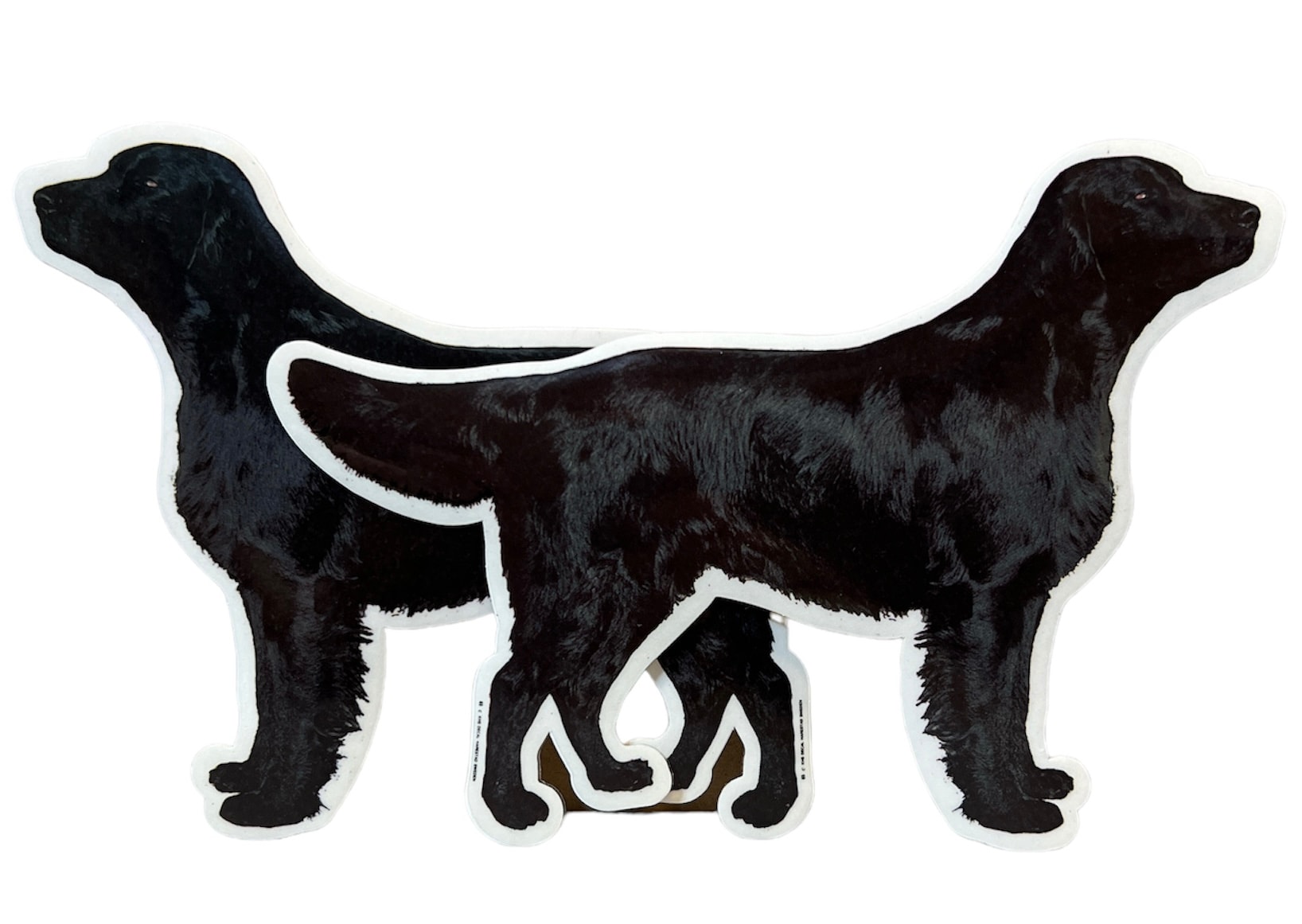 Dekal Hund medium 2-pack - Flat Coated Retriever Svart helkropp