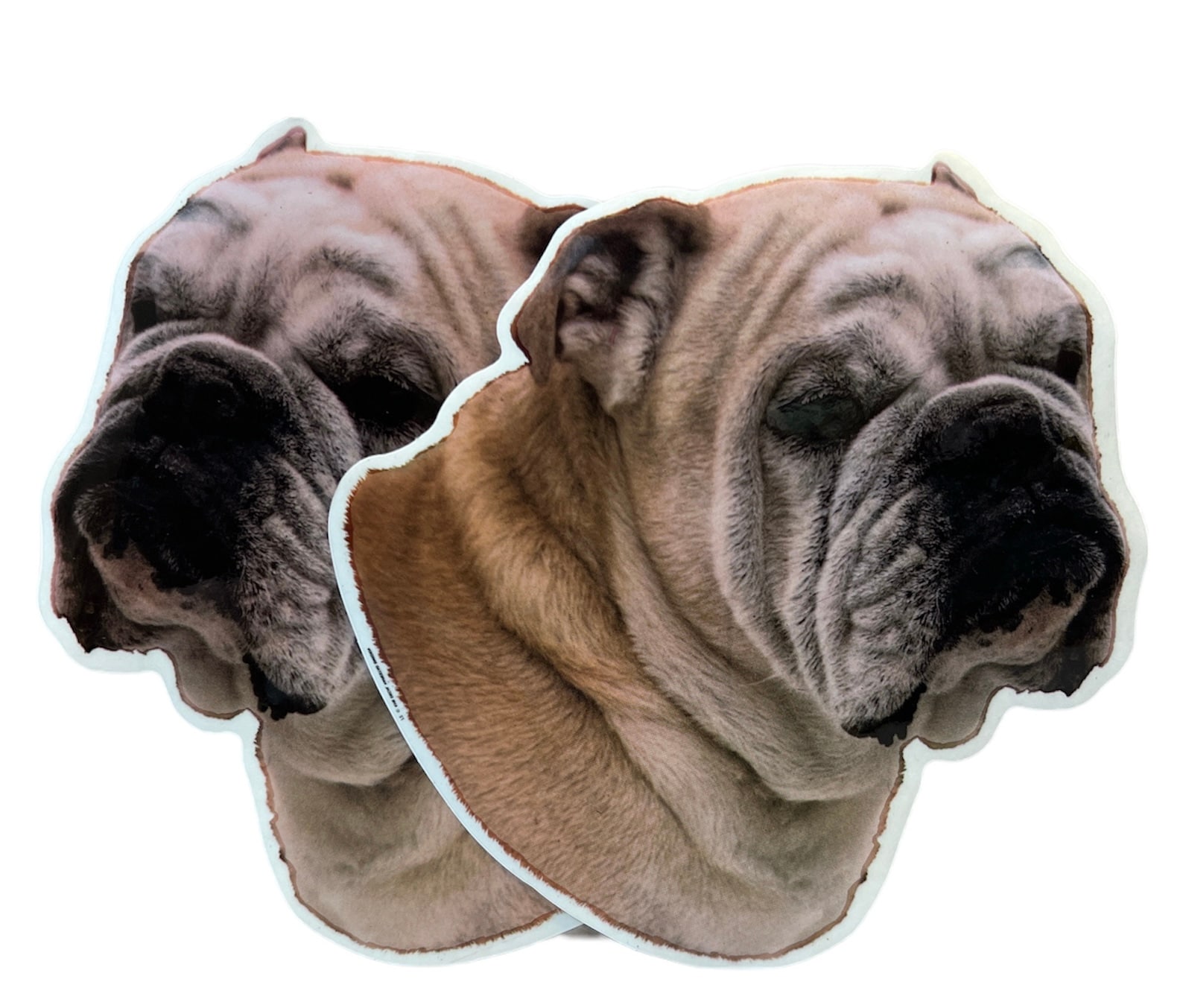 Dekal Hund medium 2-pack - Engelsk Bulldog huvud