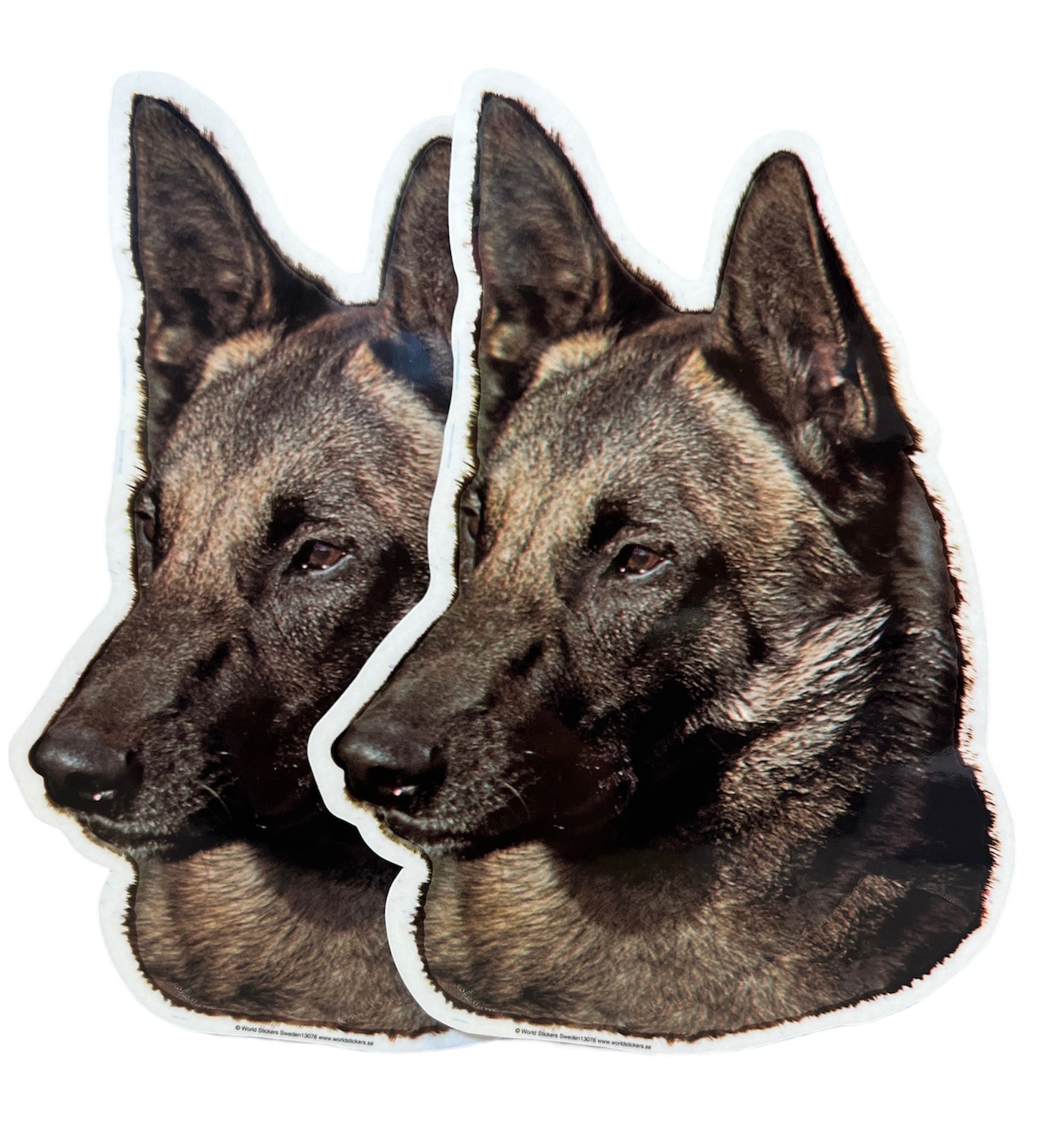 Dekal Hund medium 2-pack - Belgian Malinois huvud