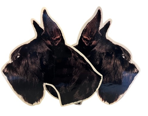 Dekal Hund medium 2-pack - Riesenschanuzer huvud kuperad