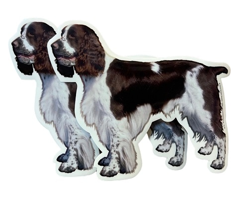 Dekal Hund medium 2-pack - Engelsk Springerspaniel helkropp
