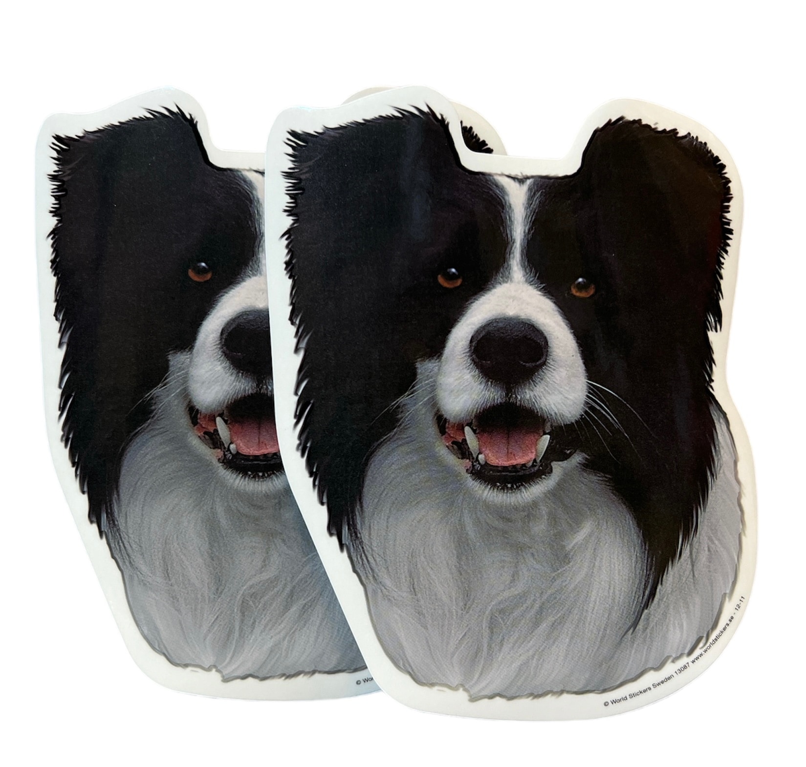 Dekal Hund medium 2-pack - Border Collie huvud