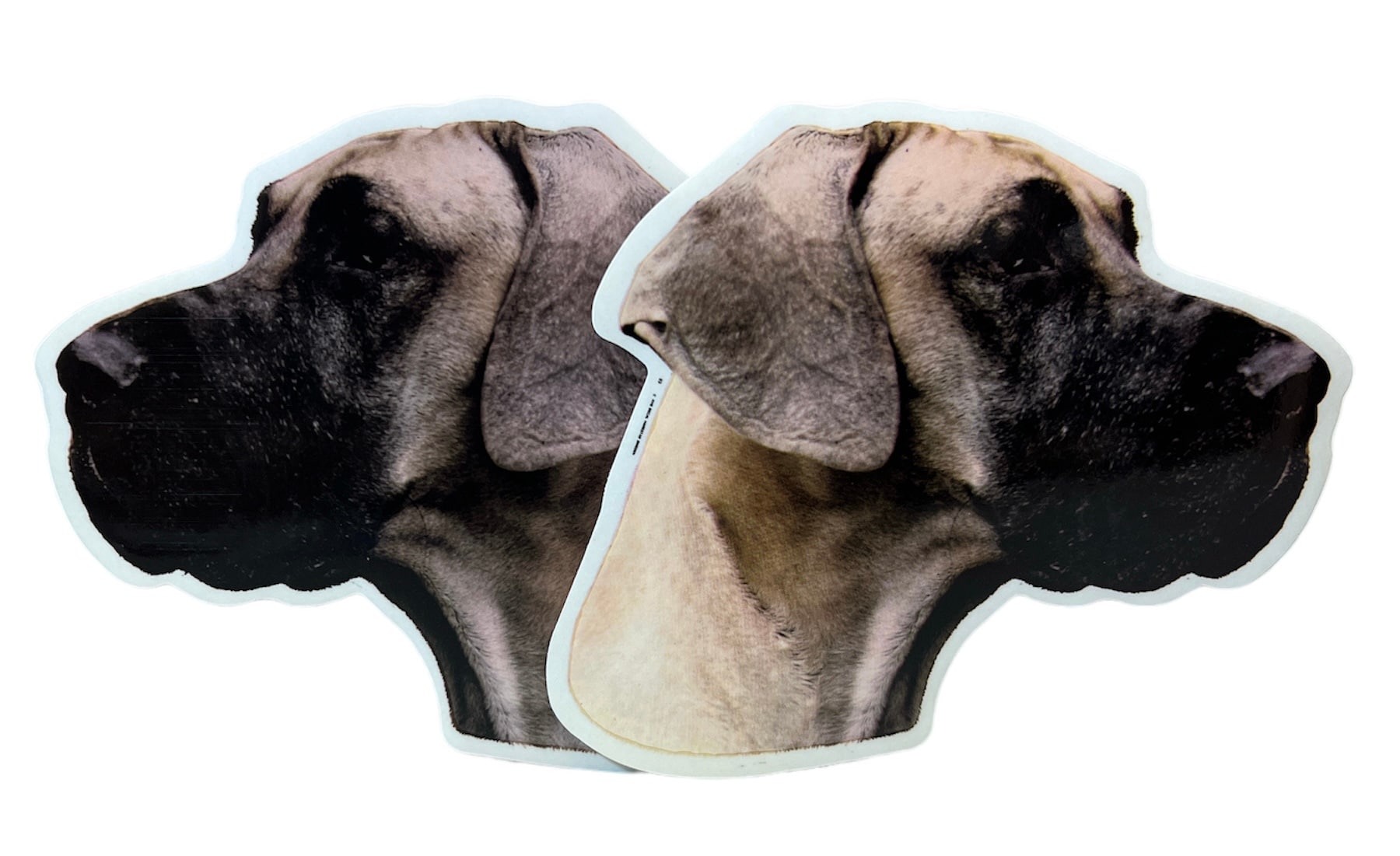 Dekal Hund medium 2-pack - Grand Danois Gul huvud