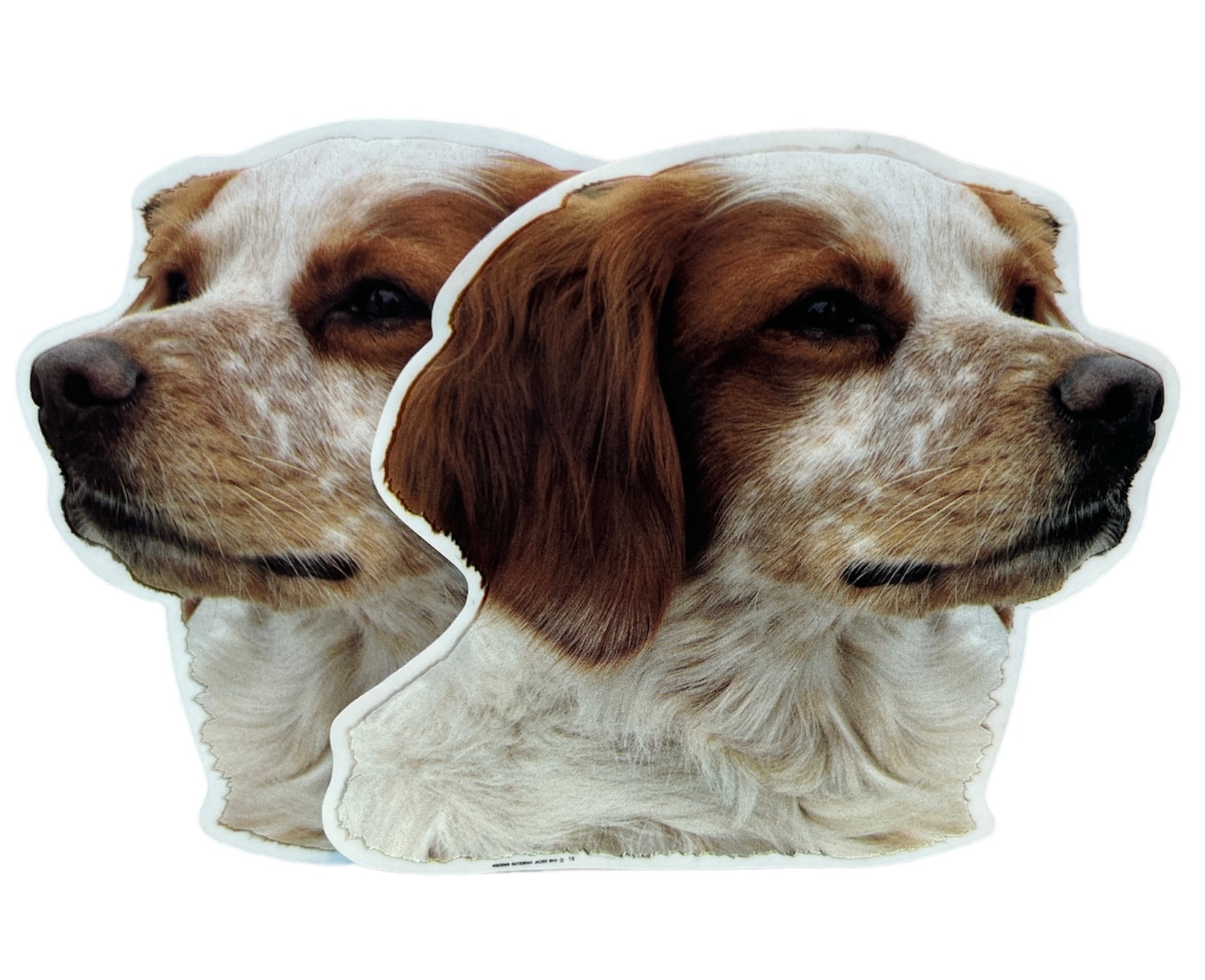 Dekal Hund medium 2-pack - Brittany Spaniel huvud