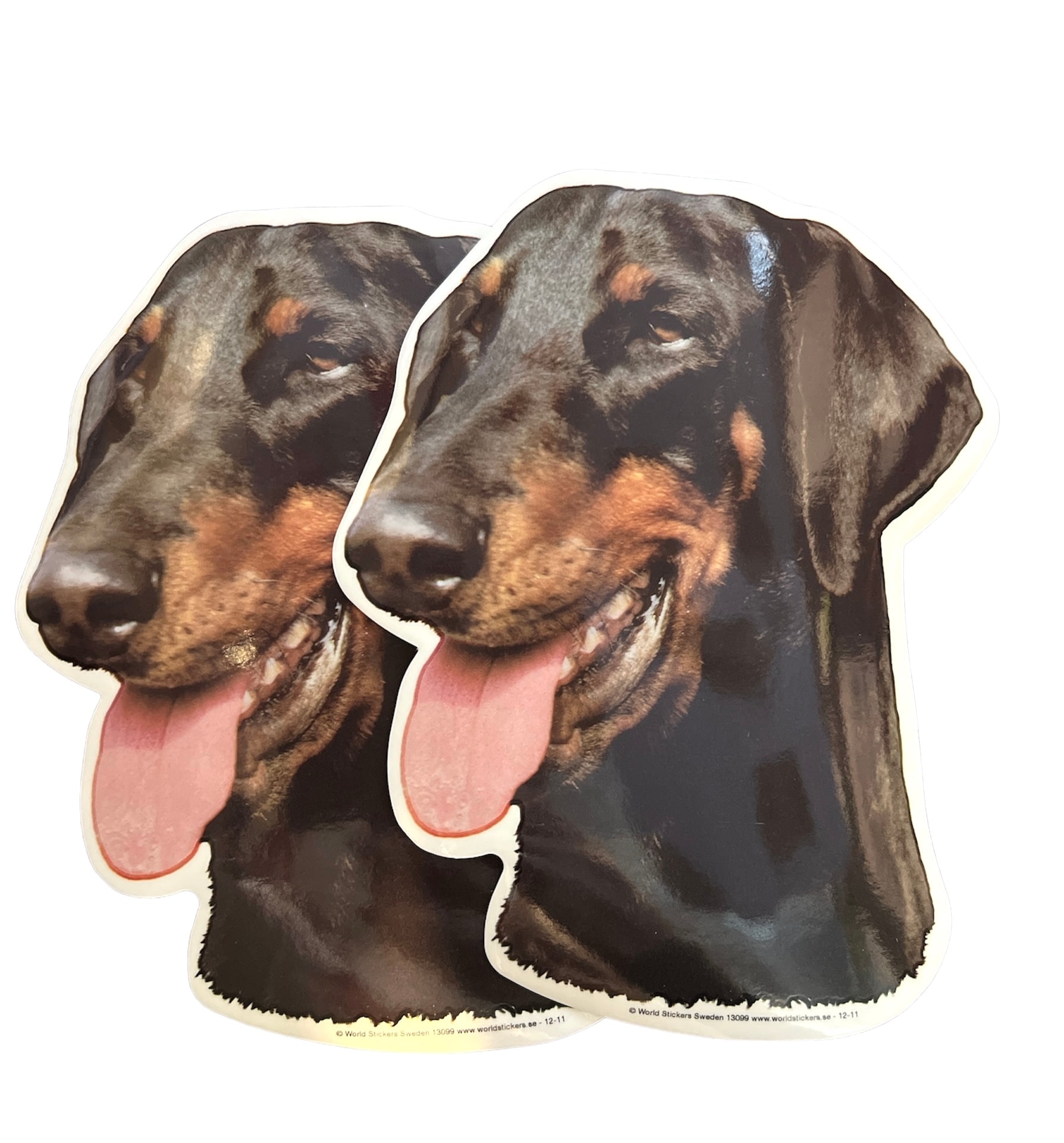 Dekal Hund medium 2-pack - Doberman huvud 2