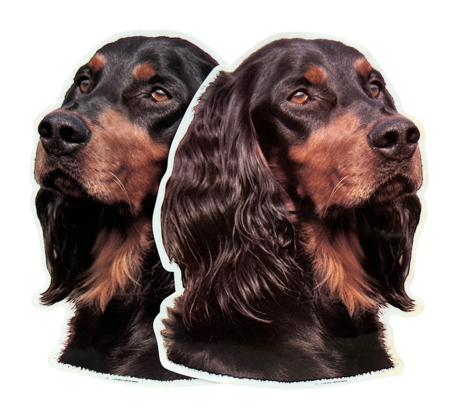 Dekal Hund medium 2-pack - Gordon Setter huvud