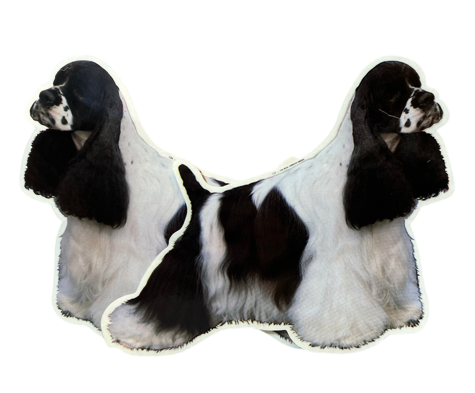 Dekal Hund medium 2-pack - Amerikansk Cockerspaniel Svart/Vit helkropp