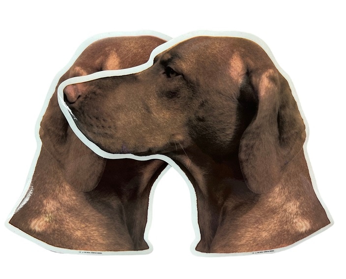 Dekal Hund medium 2-pack - Ungersk Vizsla huvud