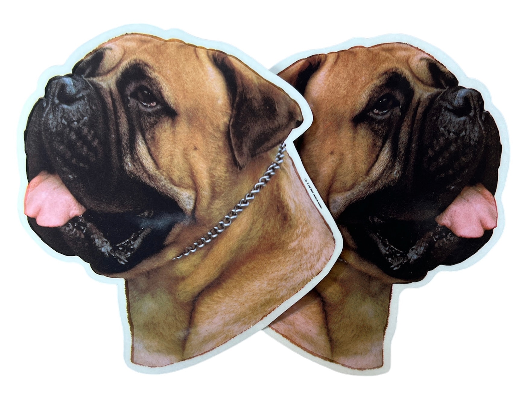 Dekal Hund medium 2-pack - Bullmastiff huvud