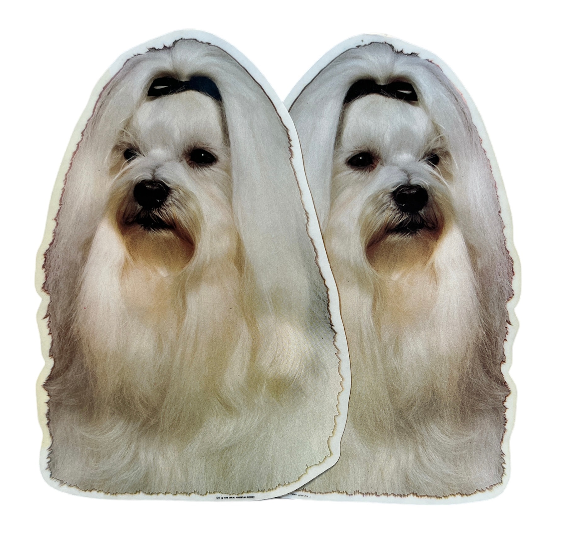 Dekal Hund medium 2-pack - Malteser huvud