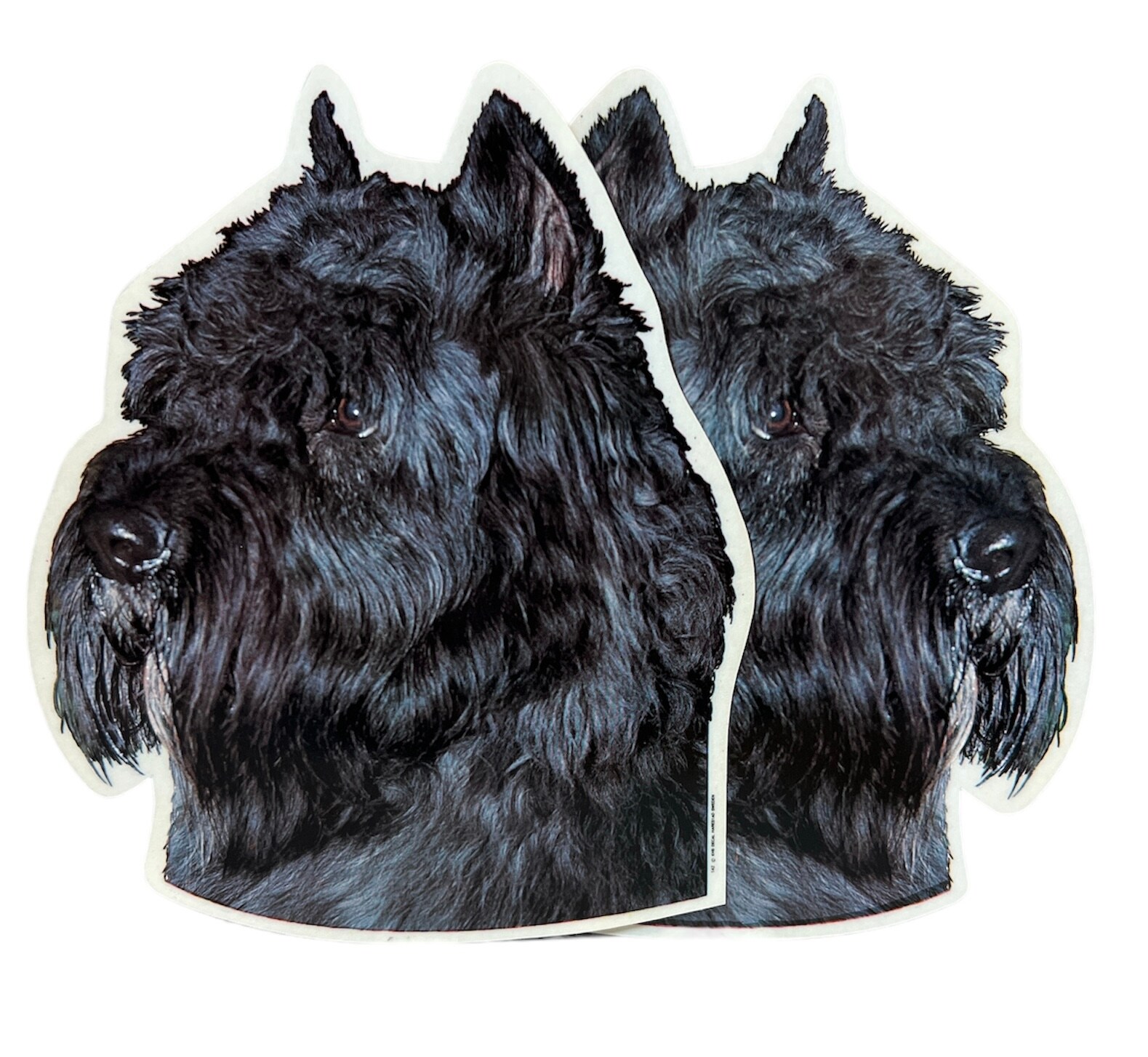Dekal Hund medium 2-pack - Bouvier Desflandres Svart huvud