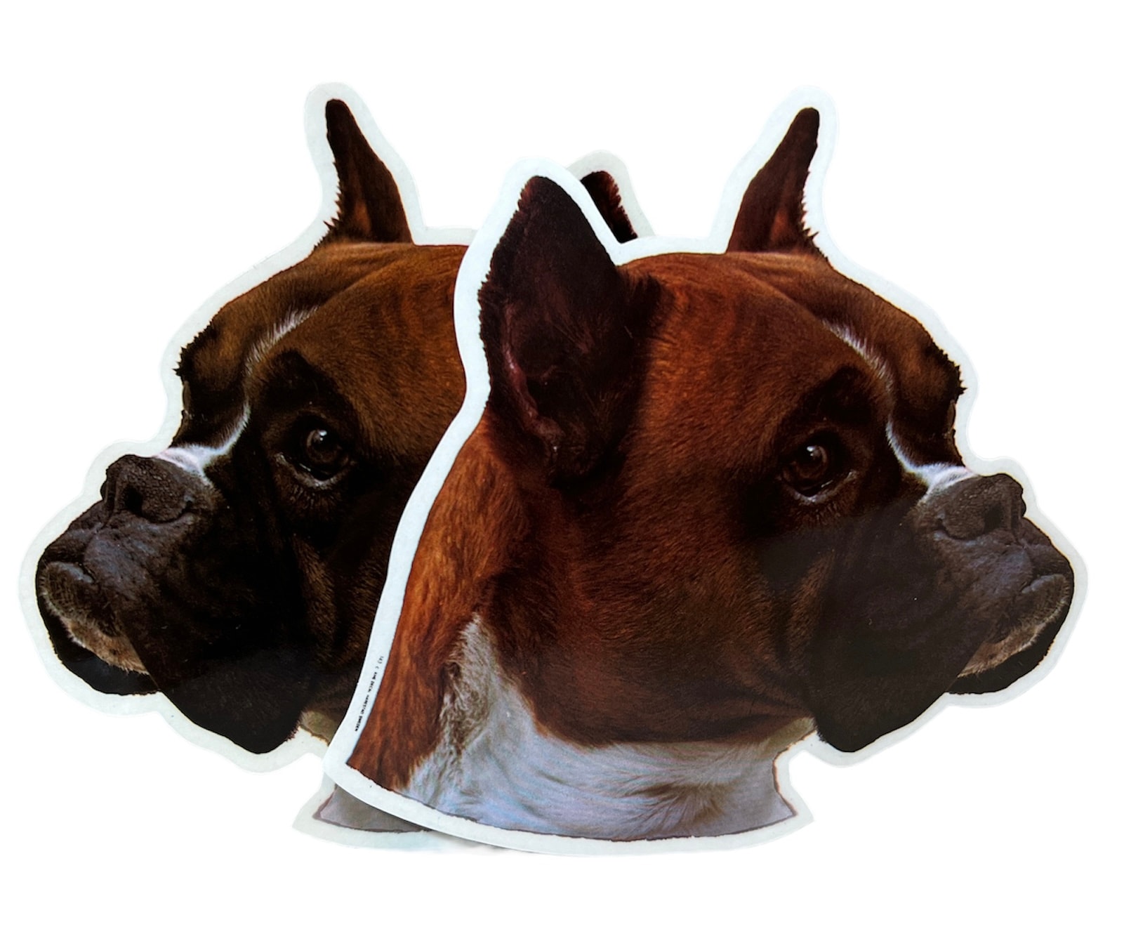Dekal Hund medium 2-pack - Boxer Röd huvud