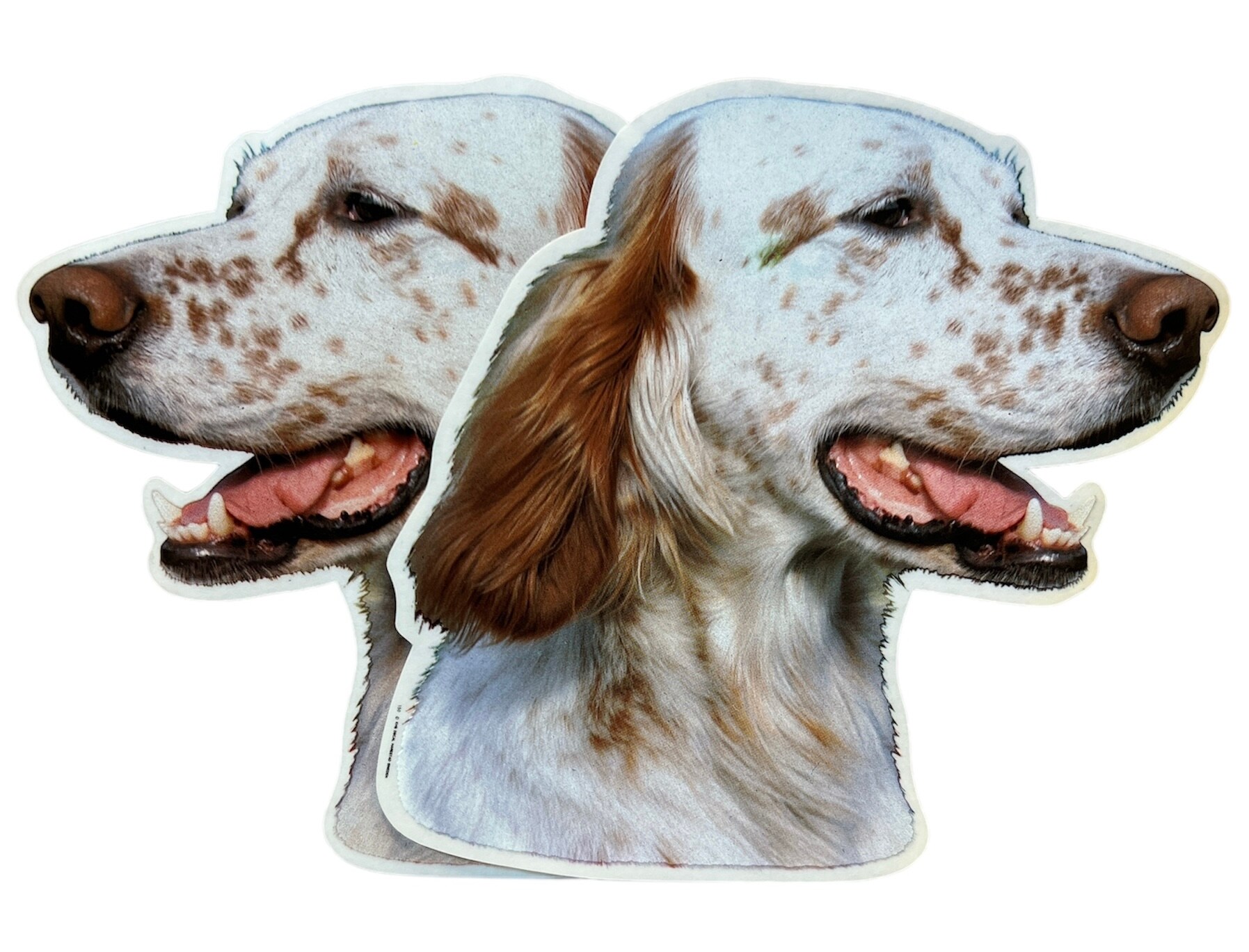 Dekal Hund medium 2-pack - Engelsk Setter huvud