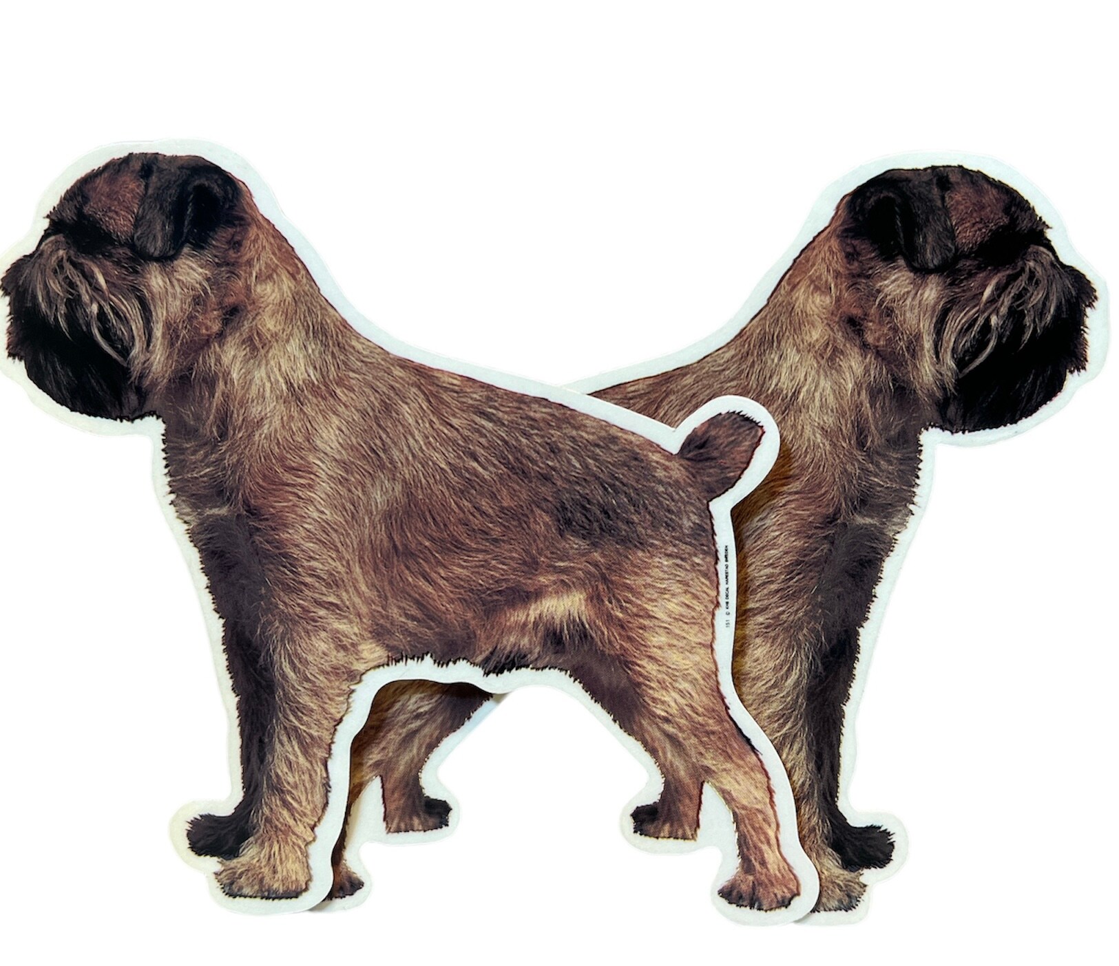 Dekal Hund medium 2-pack - Griffon Belge helkropp