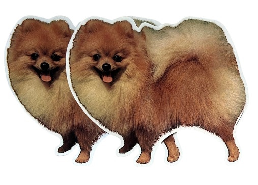 Dekal Hund medium 2-pack - Pomeranian helkropp