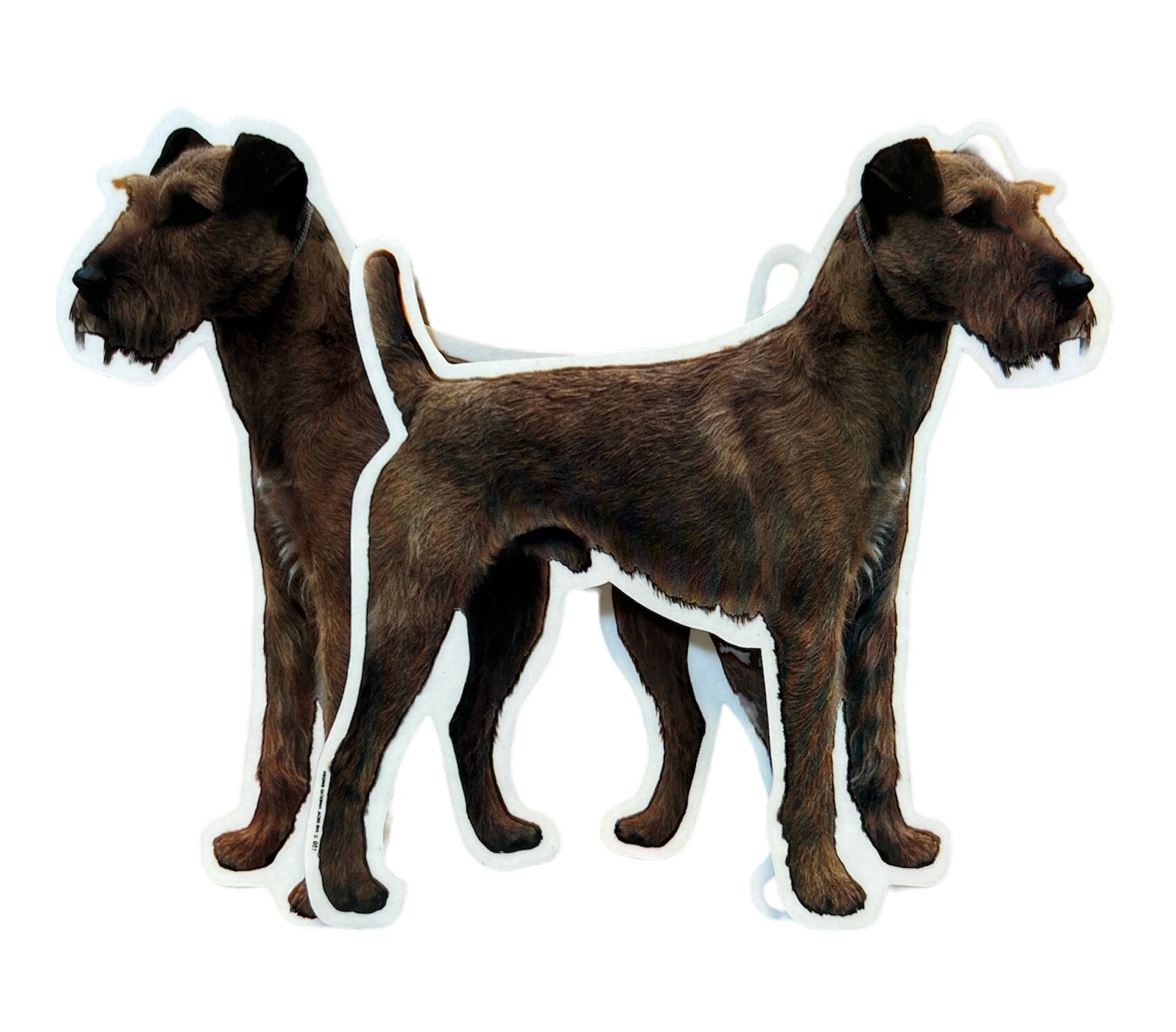 Dekal Hund medium 2-pack - Irländsk Terrier helkropp
