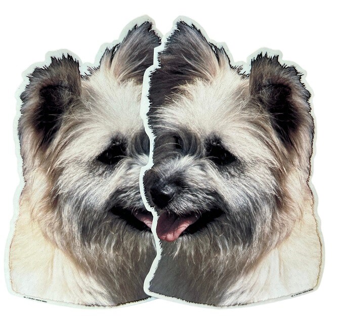 Dekal Hund medium 2-pack - Berger Des Pyrenees