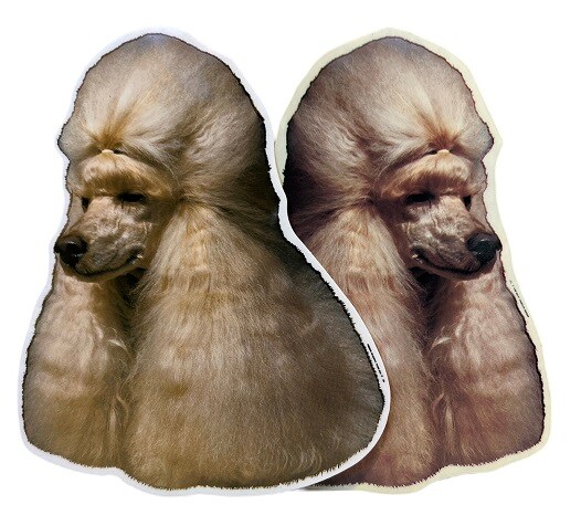 Dekal Hund medium 2-pack - Pudel aprikos huvud