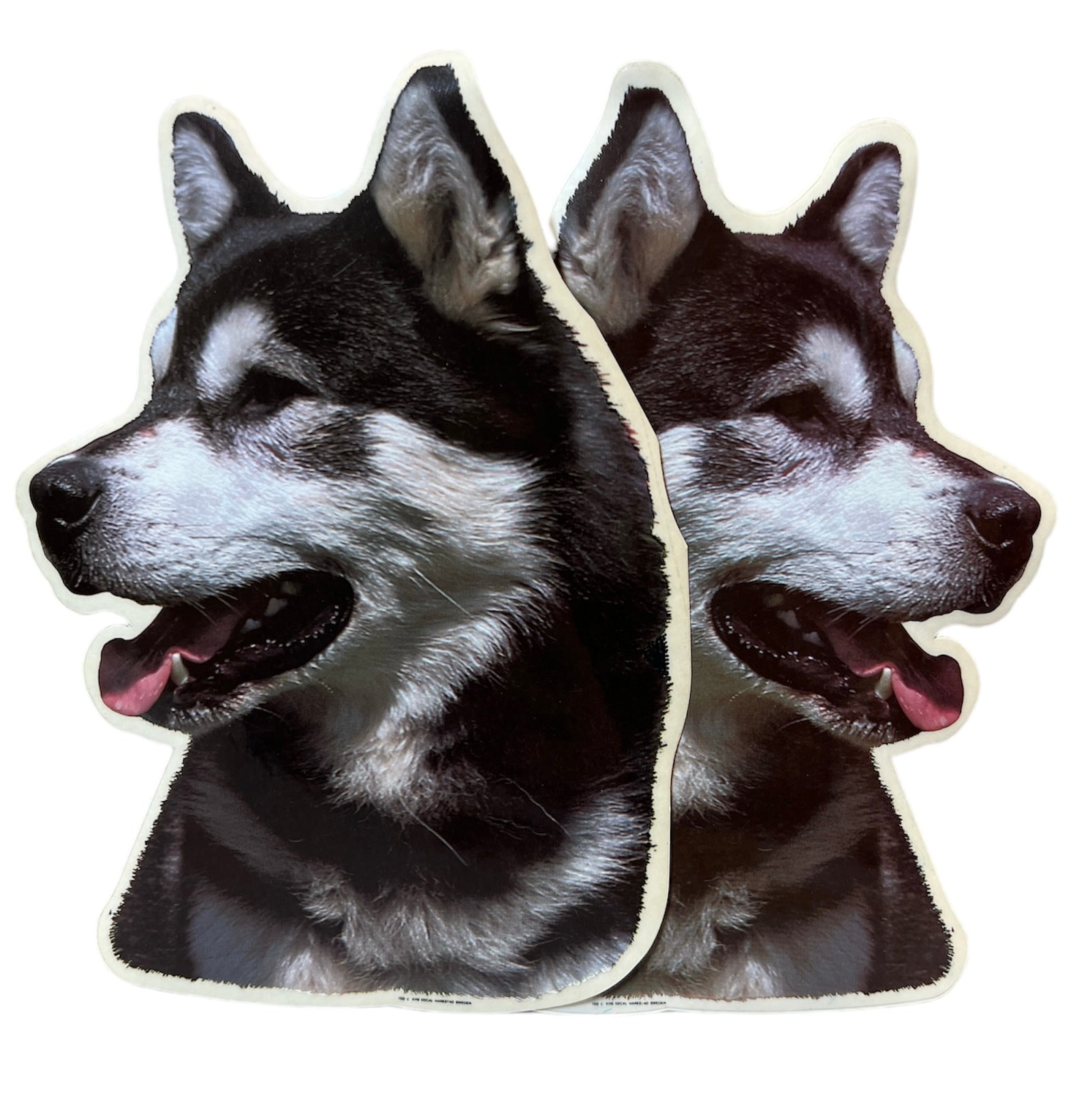 Dekal Hund medium 2-pack - Alaskan Malamute huvud
