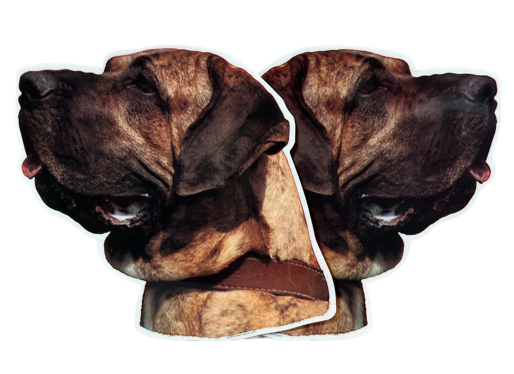 Dekal Hund medium 2-pack - Fila Brasileiro huvud