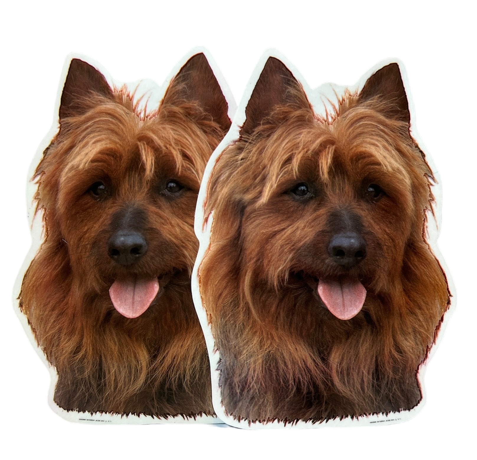 Dekal Hund medium 2-pack - Australian Terrier huvud