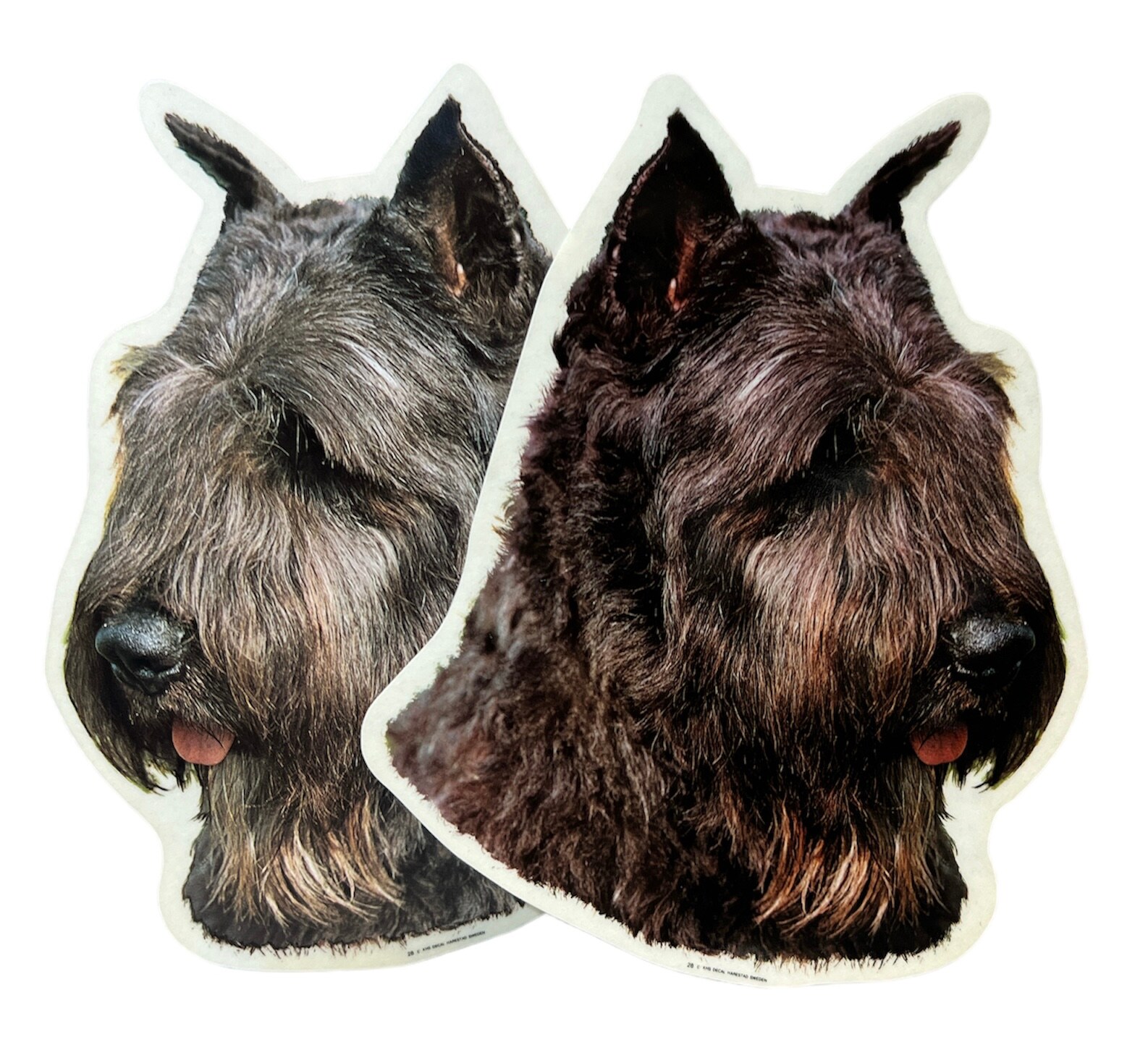 Dekal Hund medium 2-pack - Bouvier Desflandres Brun huvud
