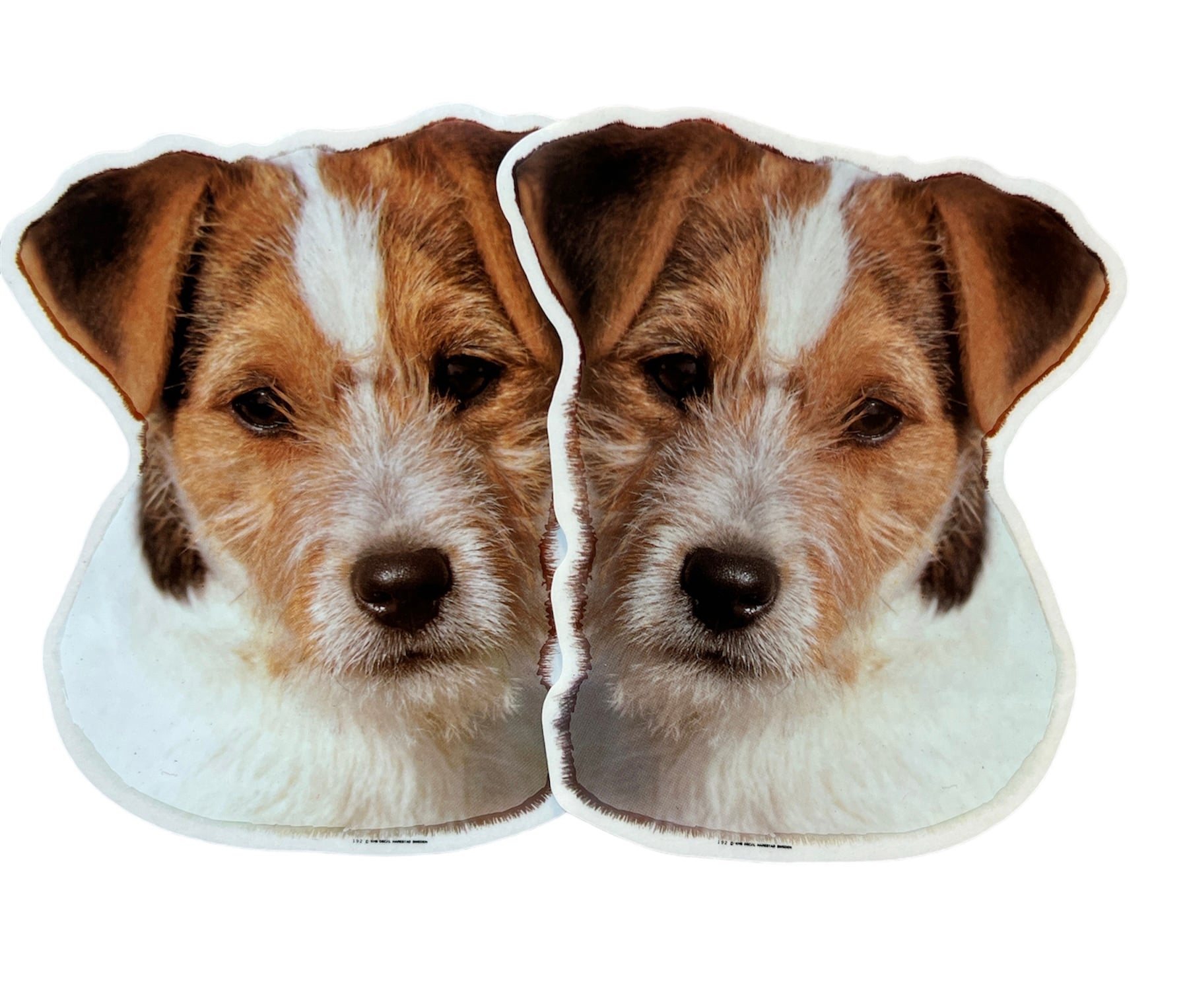Dekal Hund medium 2-pack - Jack Russel Terrier huvud