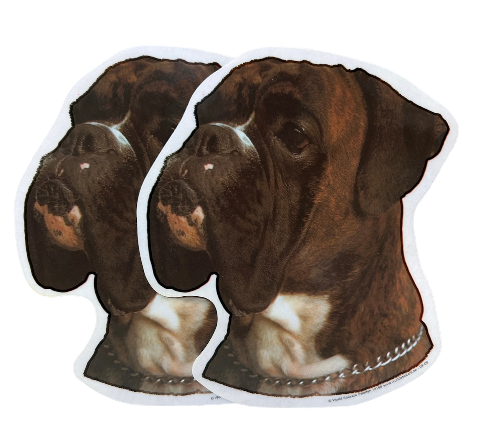 Dekal Hund medium 2-pack - Boxer Brindle huvud