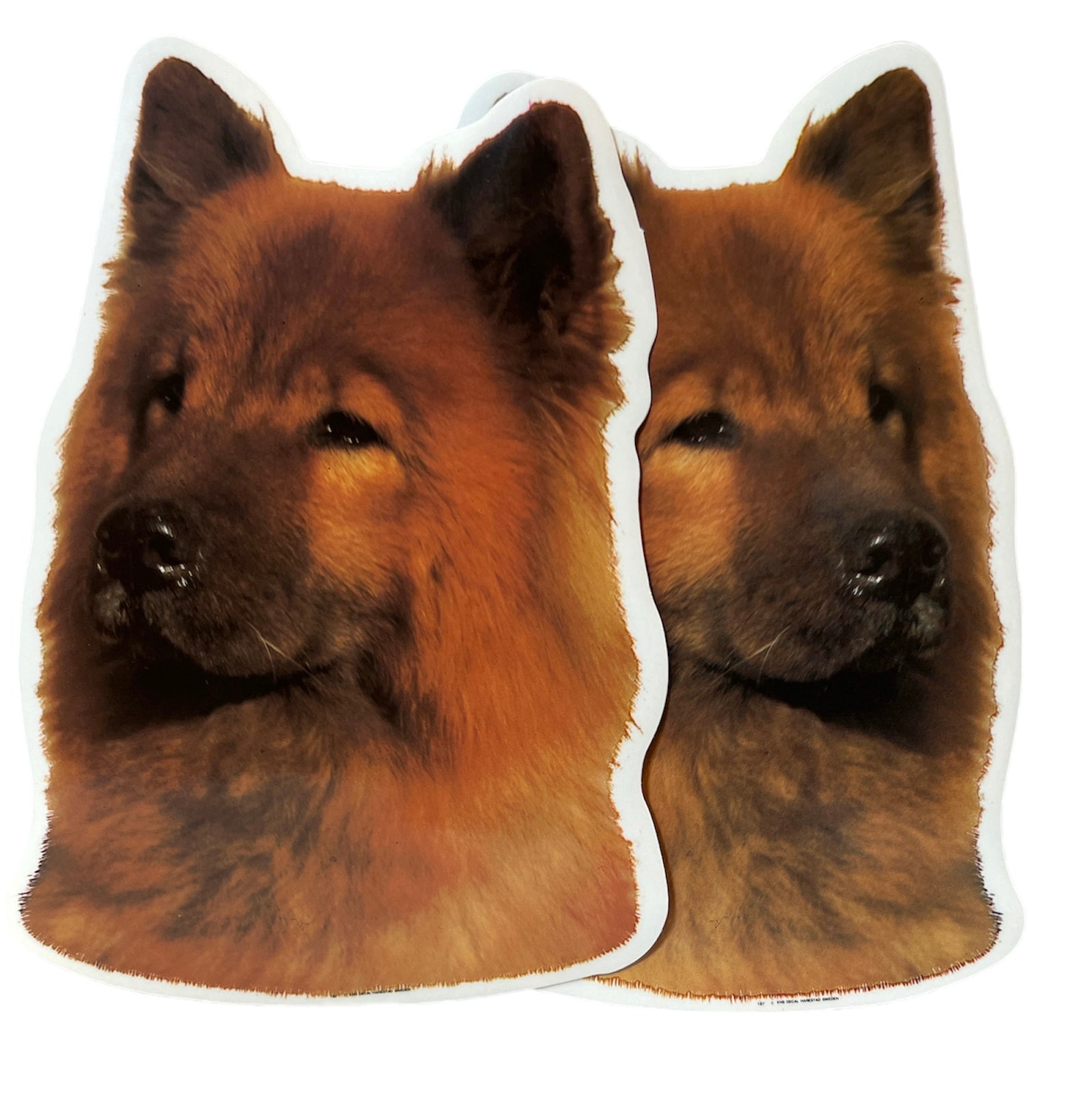 Dekal Hund medium 2-pack - Eurasier huvud