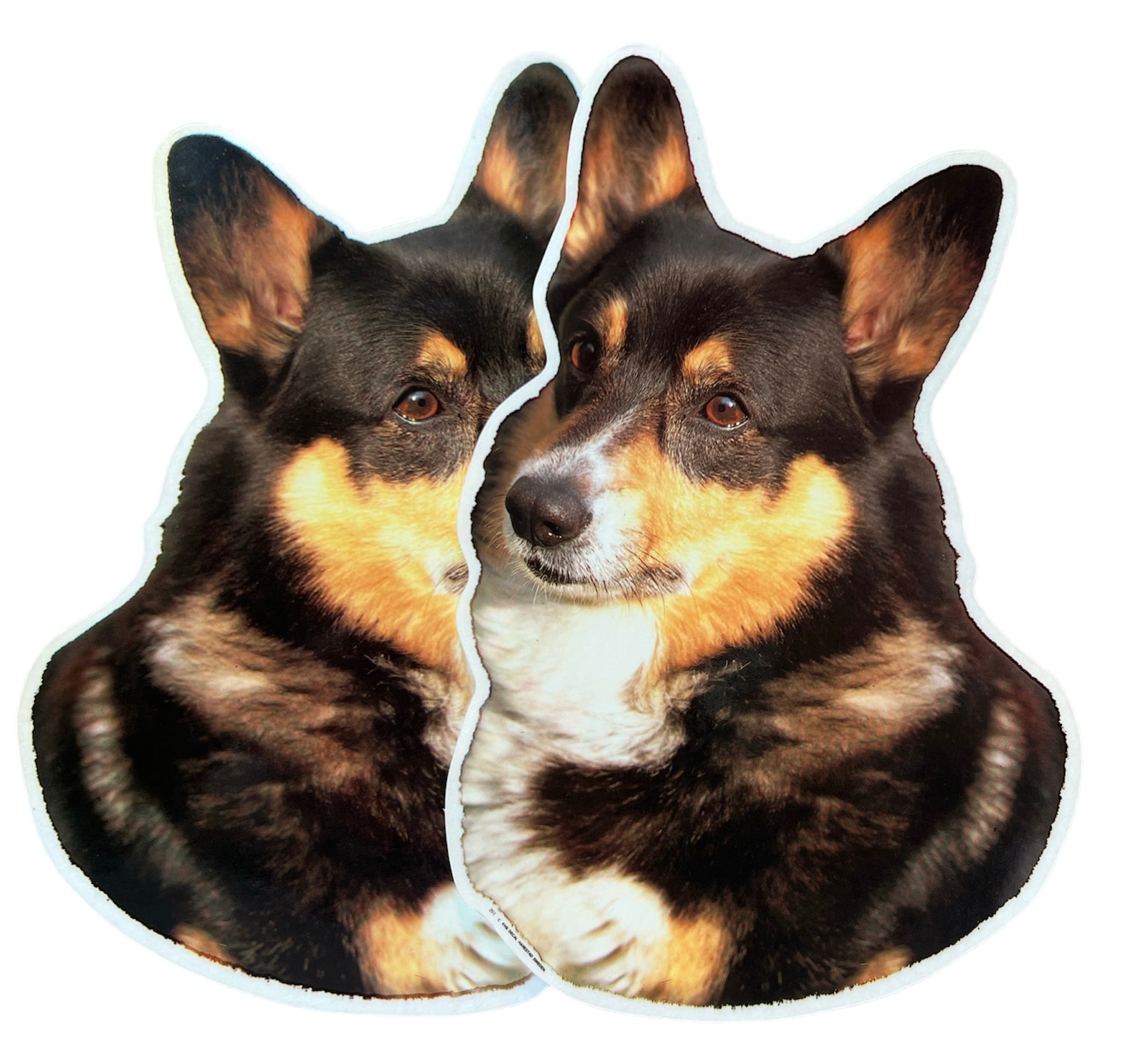 Dekal Hund medium 2-pack - Welsh Corgi Tricolor