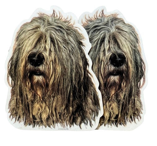 Dekal Hund medium 2-pack - Bergamasco (Pastore) huvud