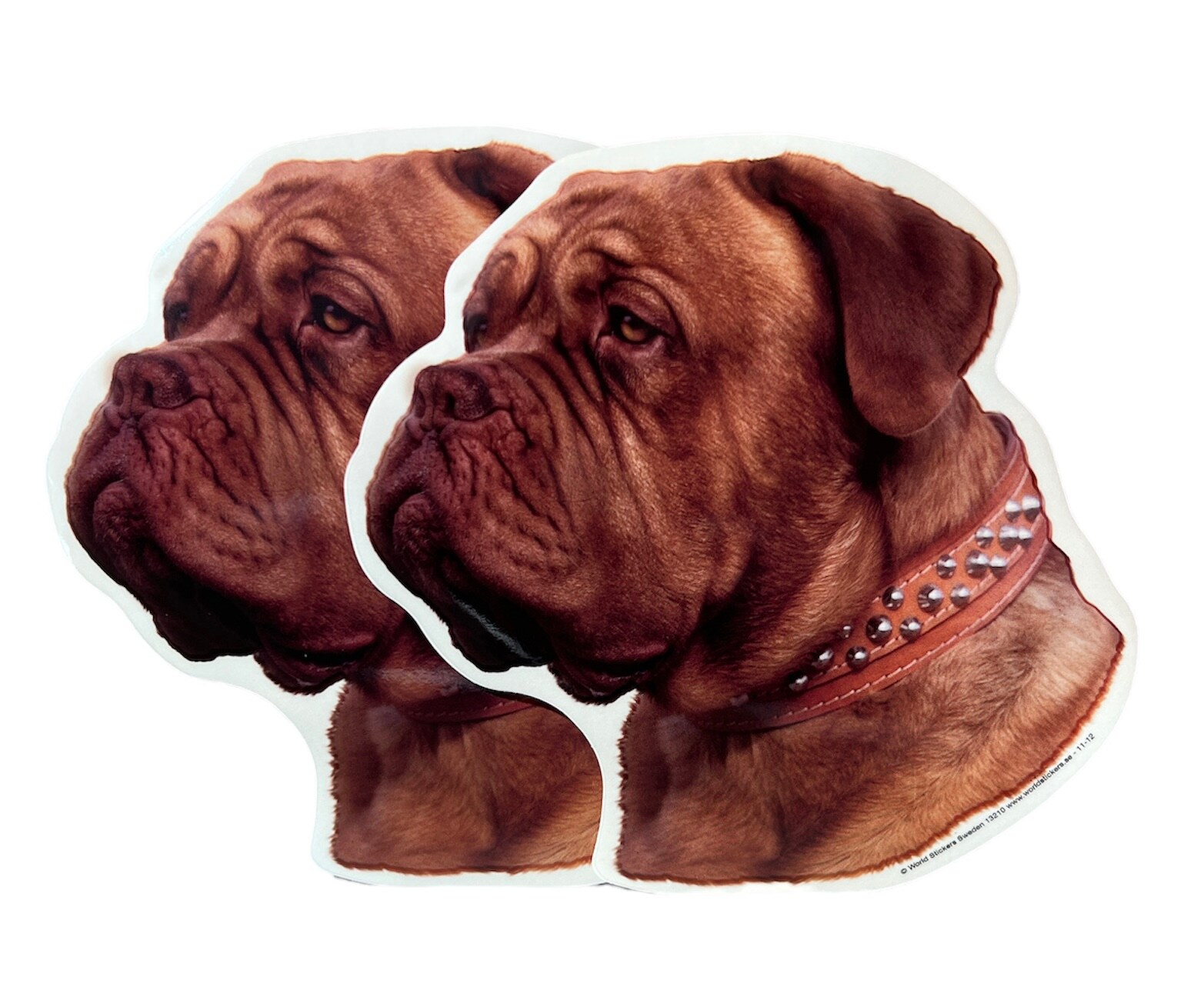 Dekal Hund medium 2-pack - Dogue De Bordeaux huvud