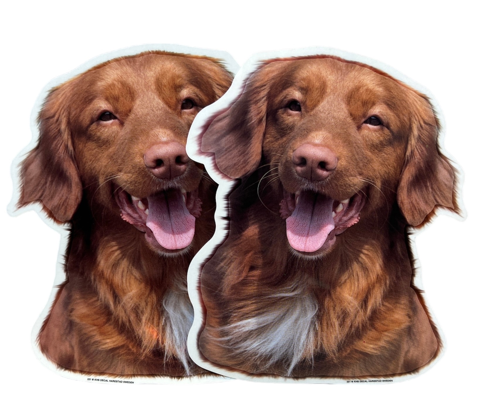 Dekal Hund medium 2-pack - Nova Scotia Duck Tolling Retriever huvud