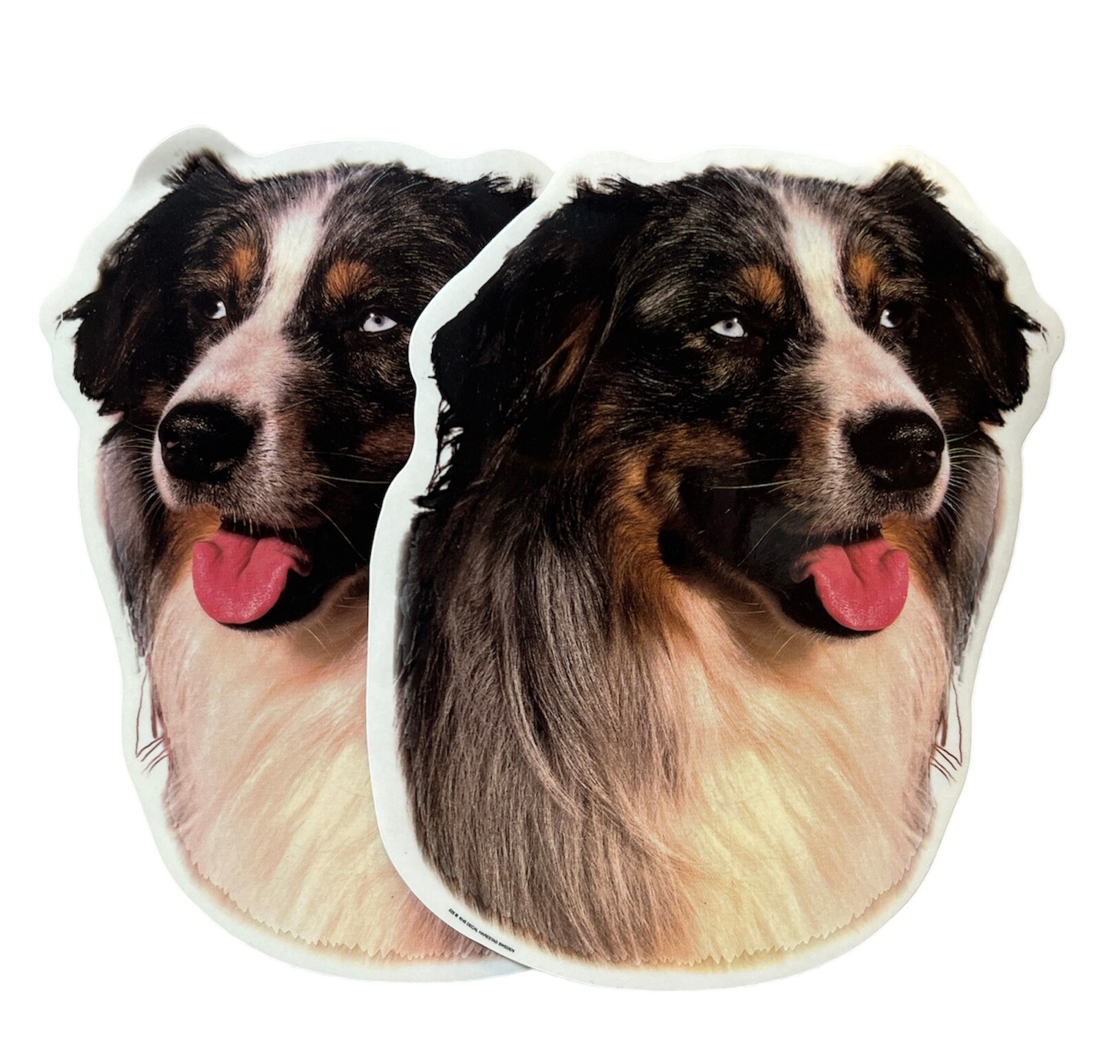 Dekal Hund medium 2-pack - Australian Shepherd huvud