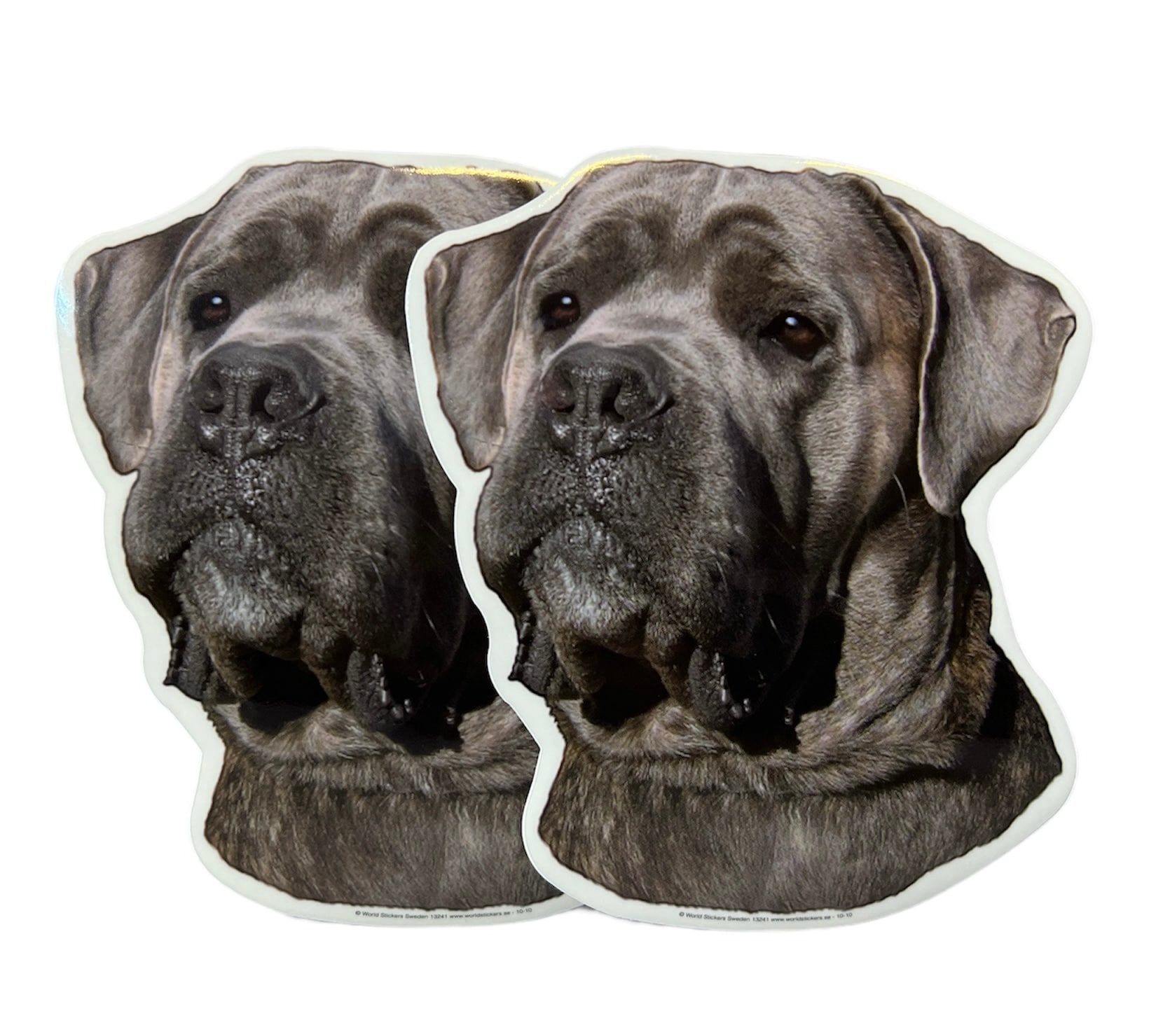 Dekal Hund medium 2-pack - Cane Corso huvud