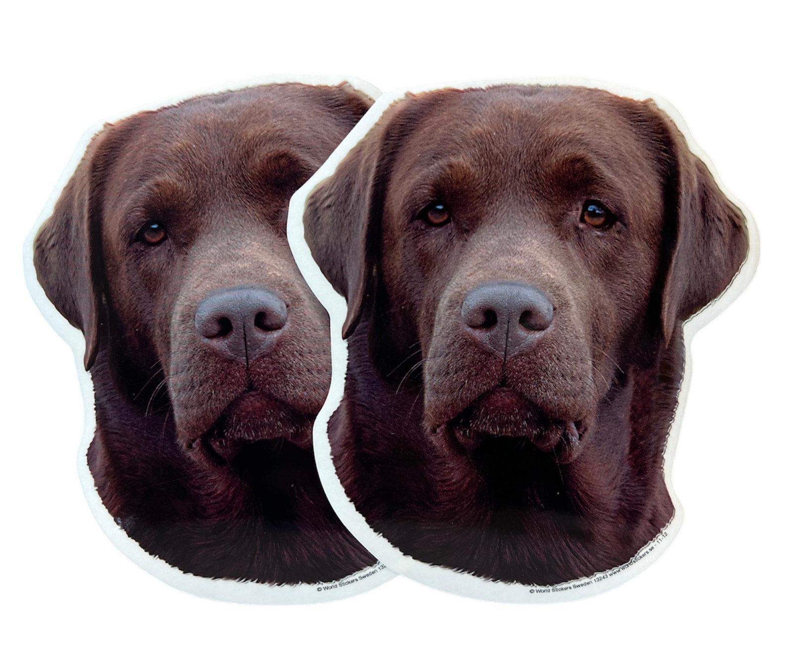 Dekal Hund medium 2-pack - Labrador Brun huvud
