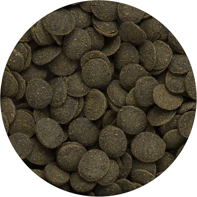 Hikari Mini Algae wafers 22g - 2