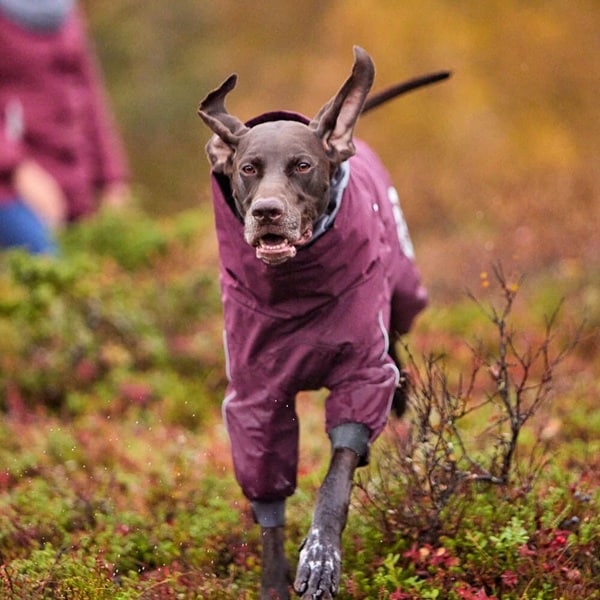 Hurtta Extreme Overall Eggplant